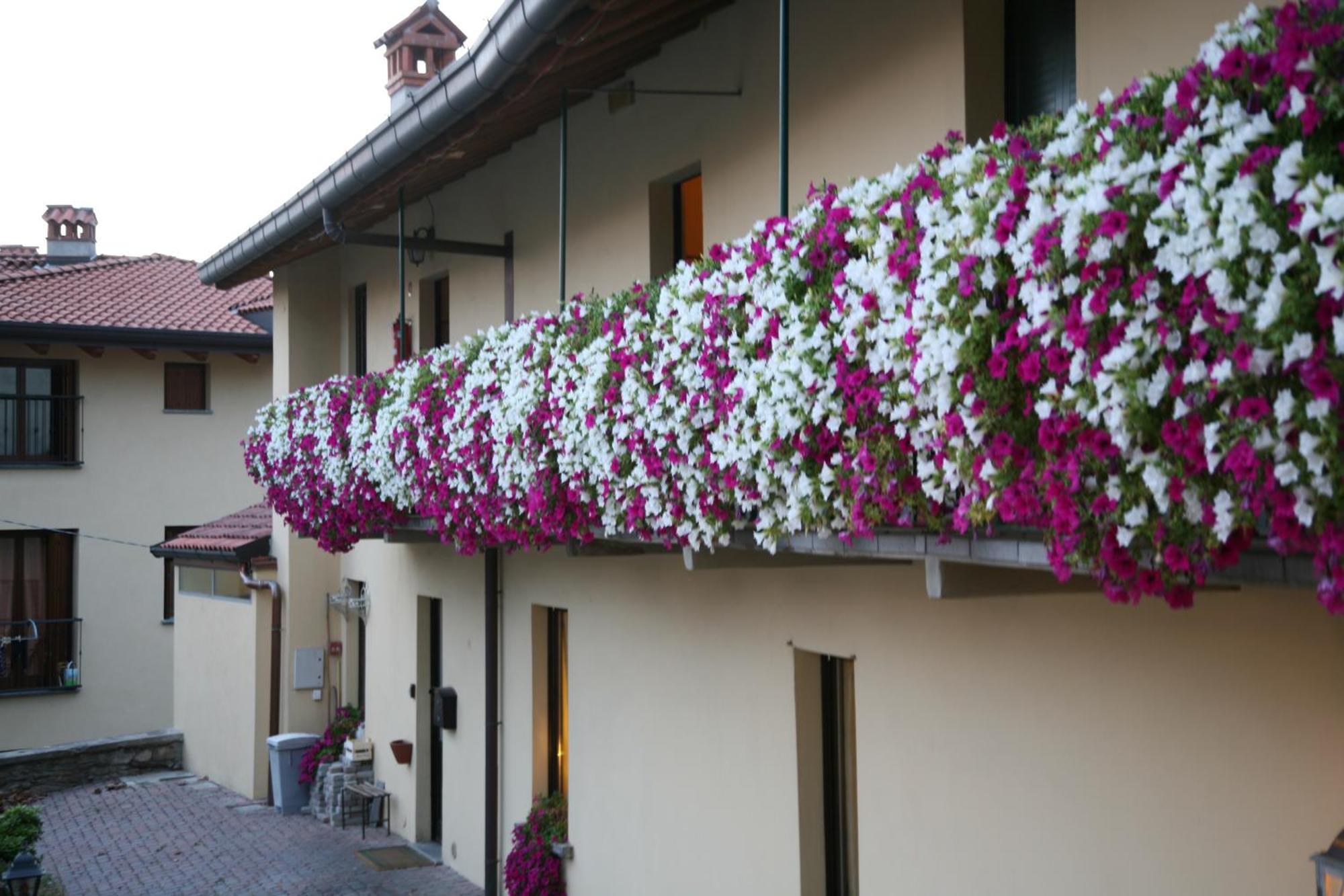 Hotel Dell'oca Bianca 3*