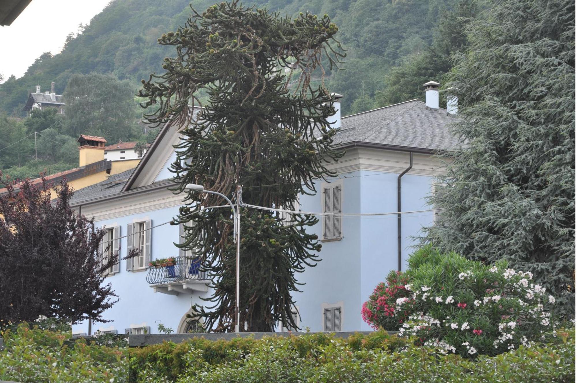 Bed & Breakfast Annamaria *