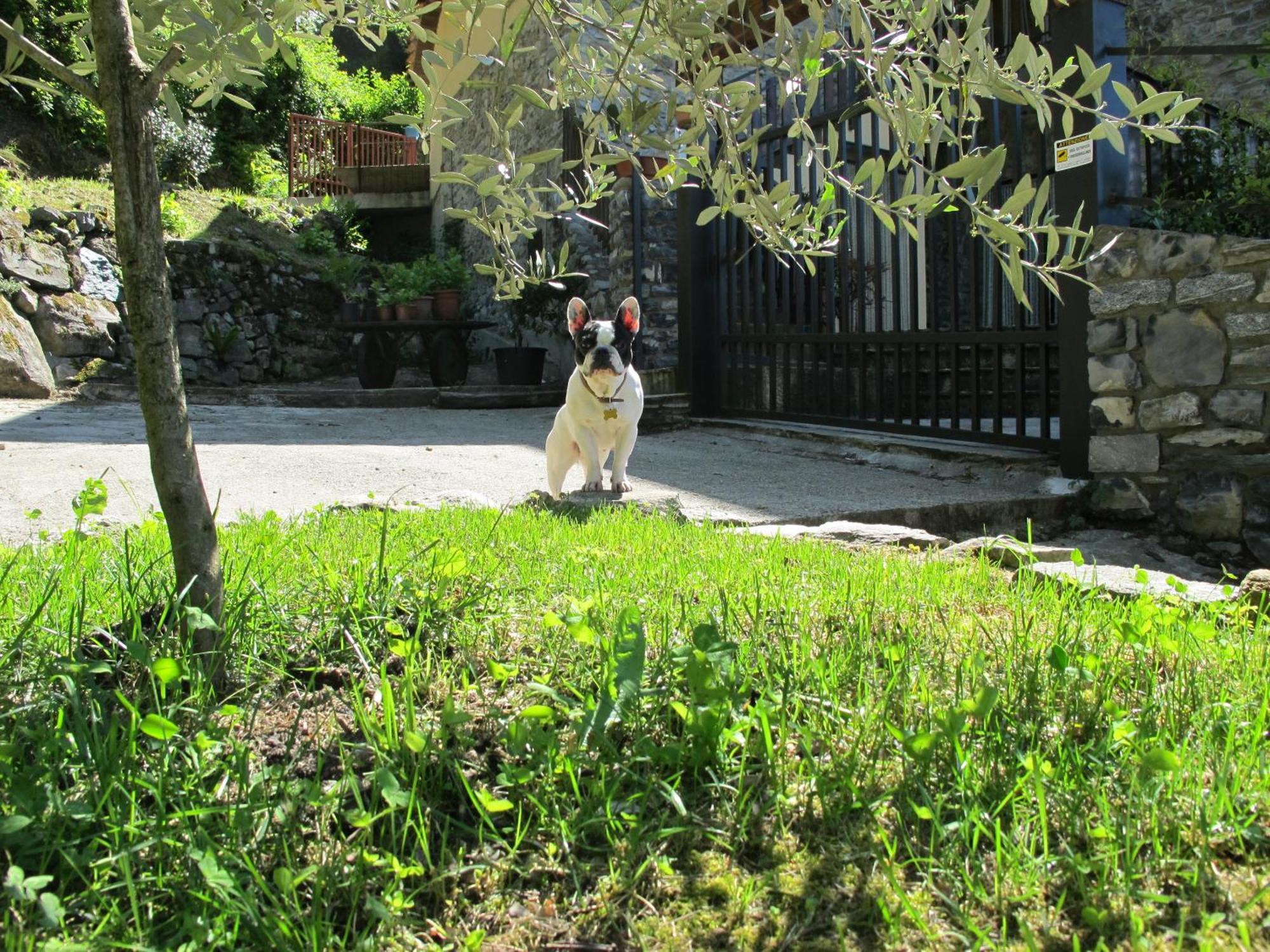 Farm stay Madonna Dei Ceppi