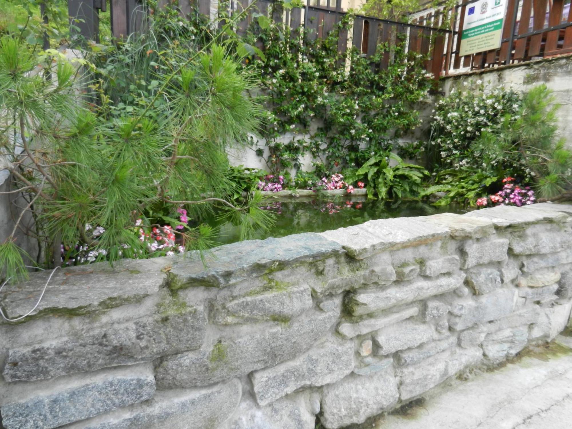 Farm stay Madonna Dei Ceppi *