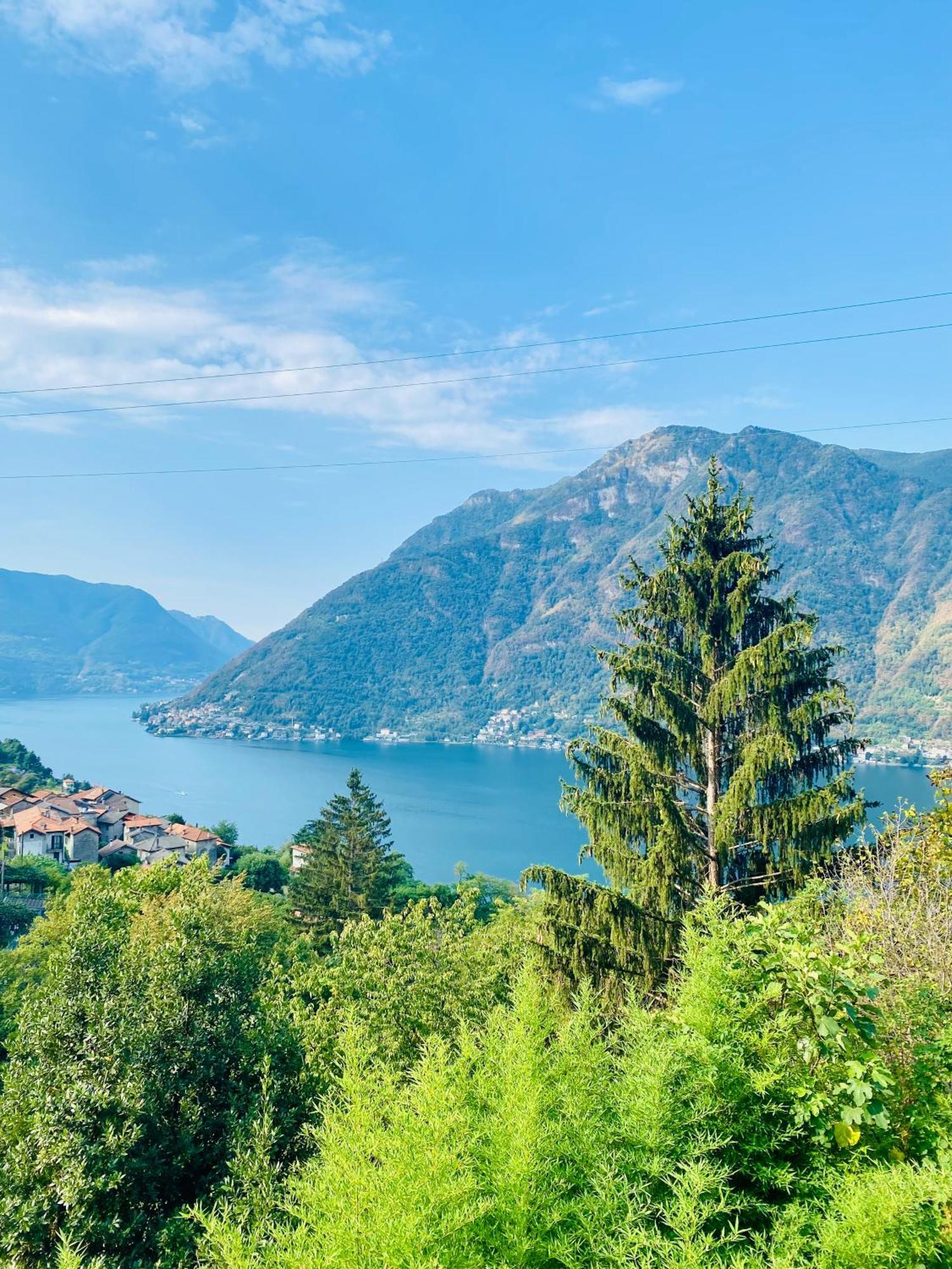 Apartment Ti Amo Nesso