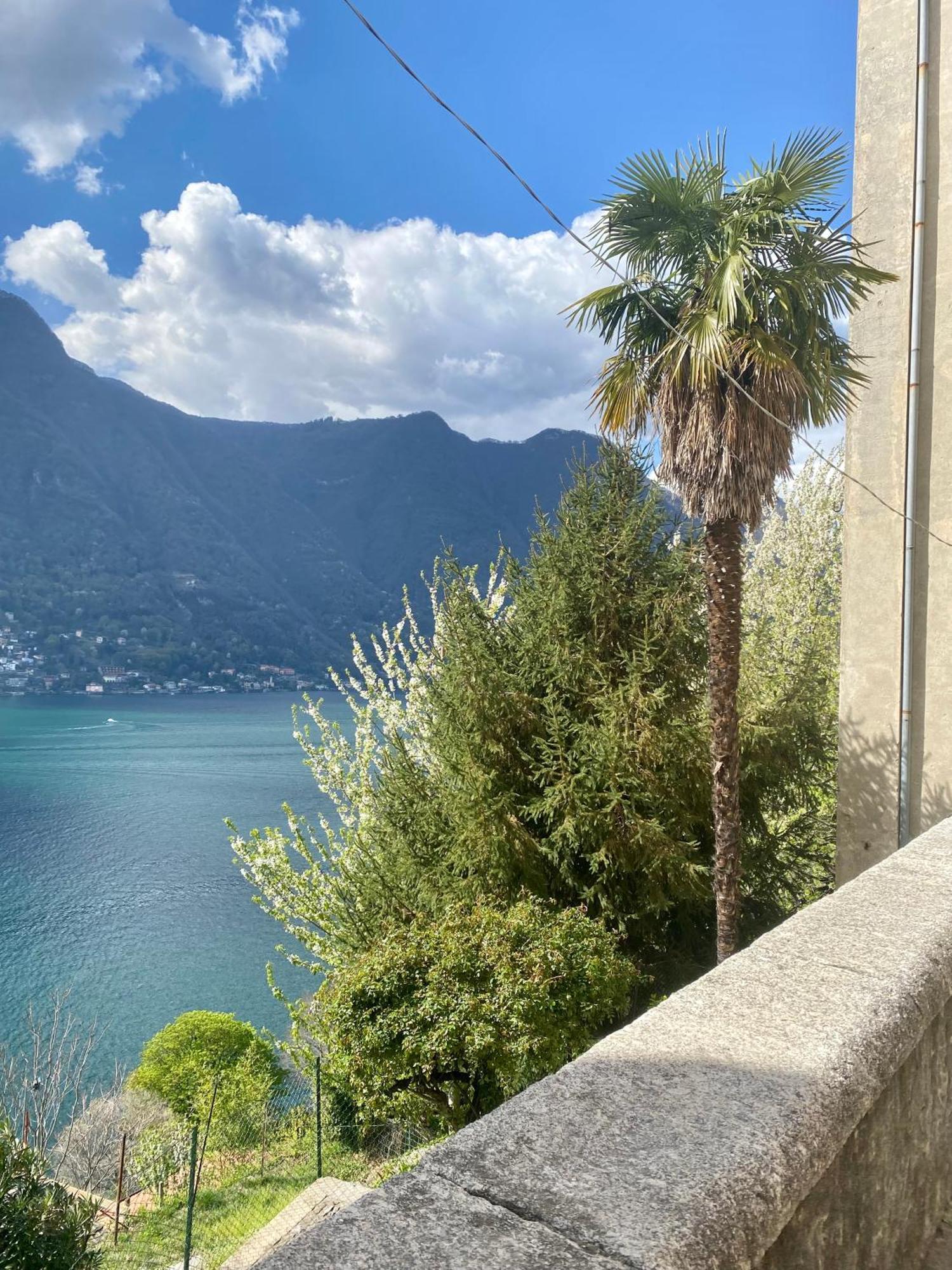 Apartment Ti Amo