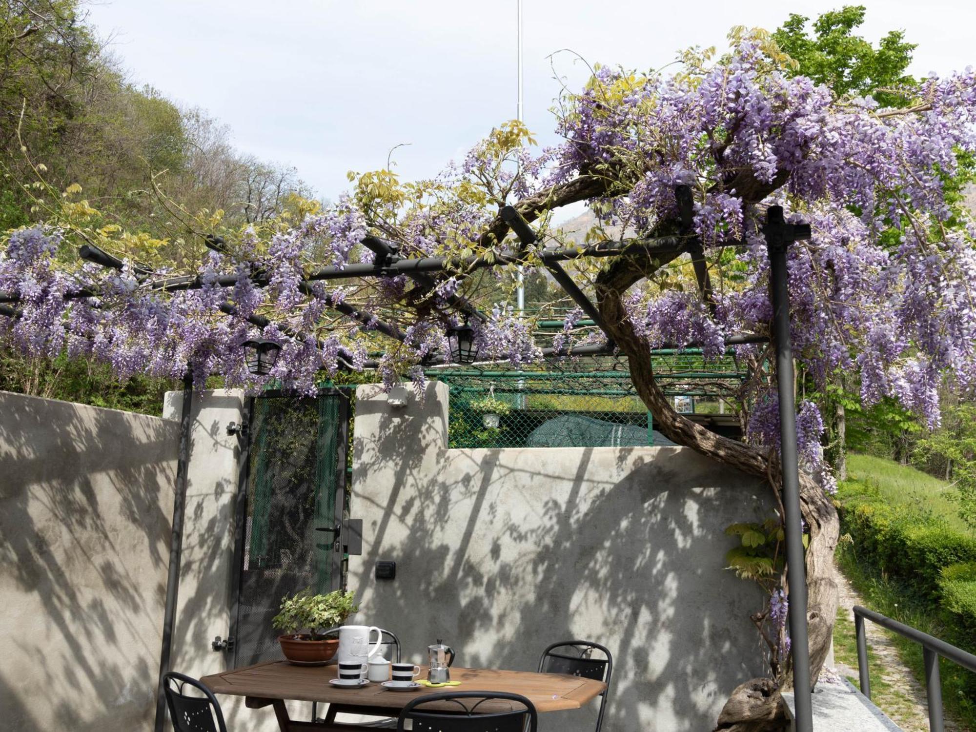 Welcomely - Al Sollievo House