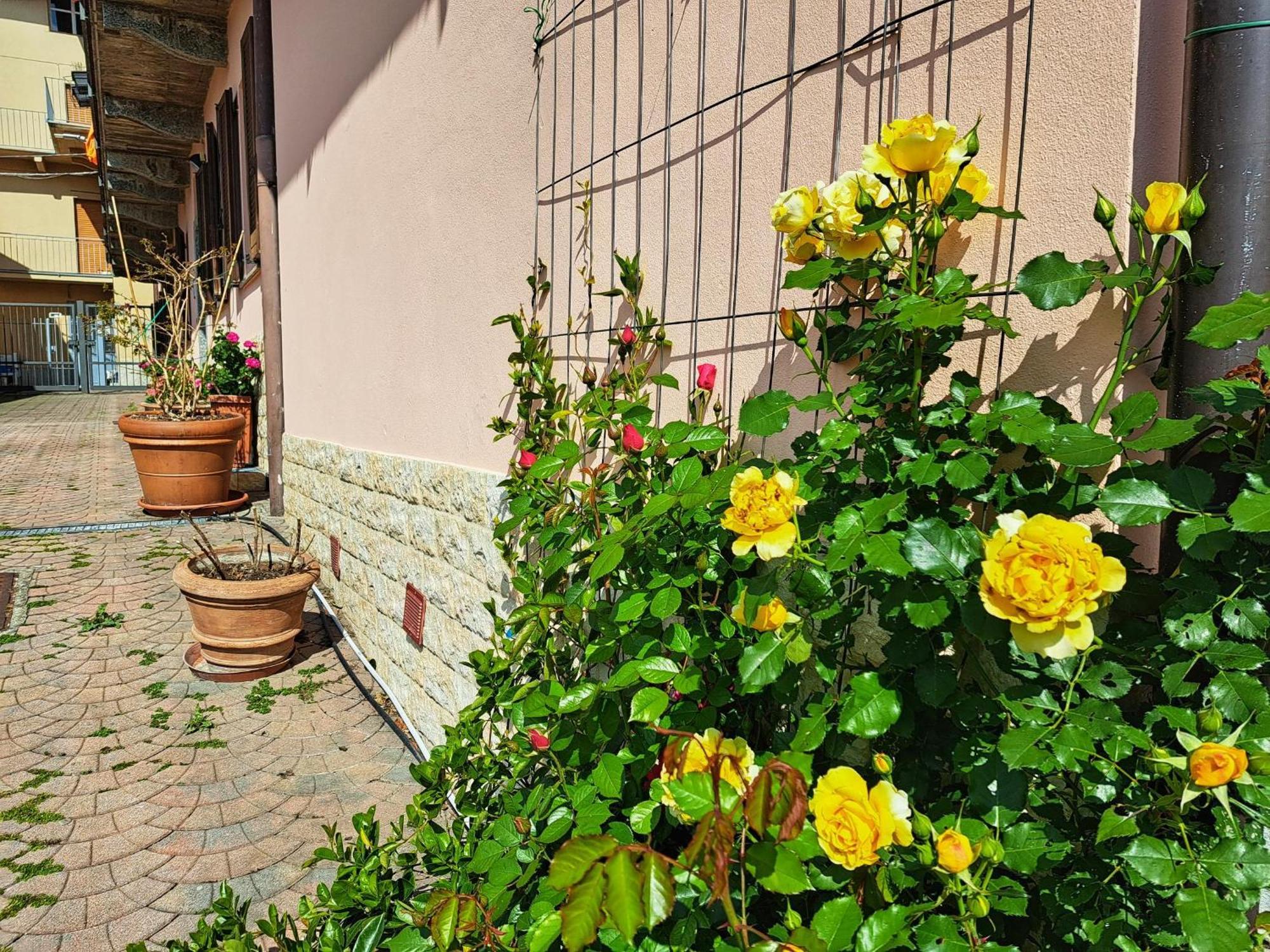 Apartment Le Rose Sul Pescate