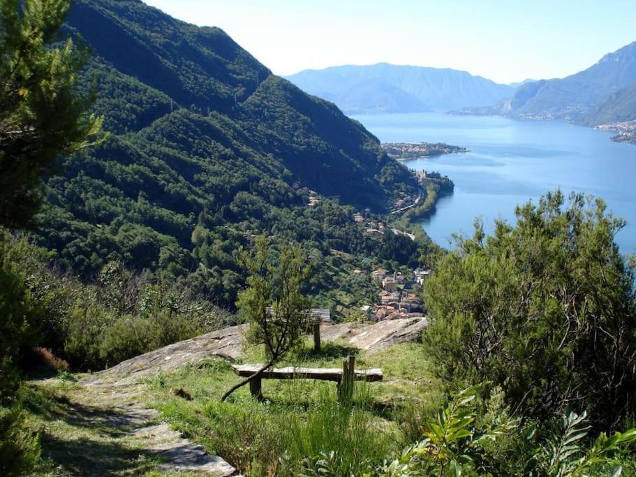 Apartment Il Noce