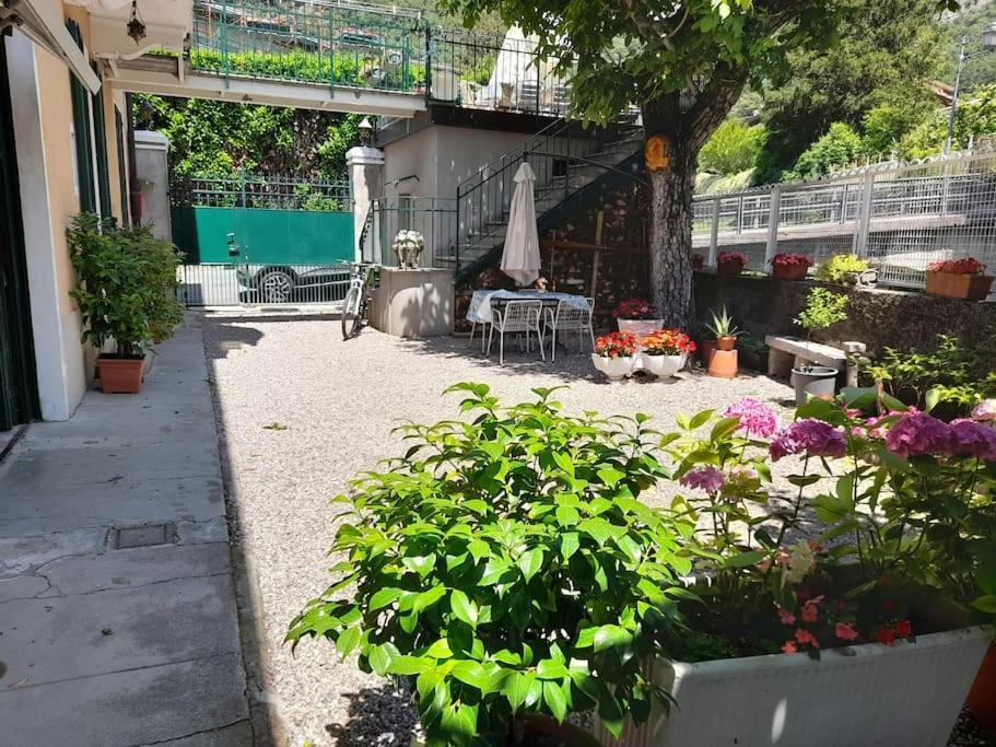 Il Noce