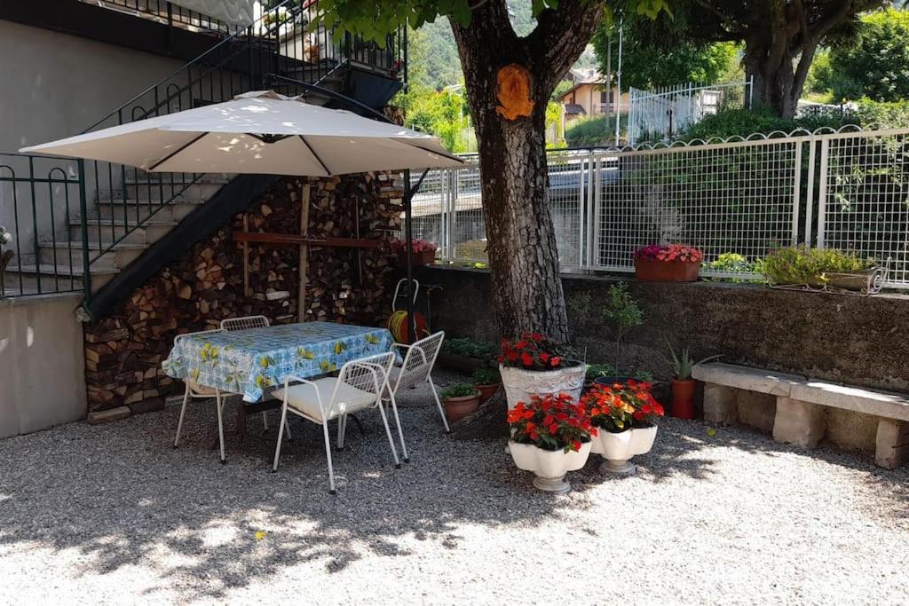 Apartment Il Noce