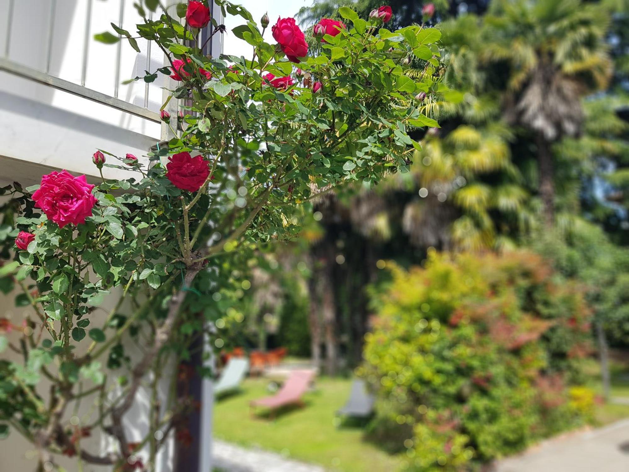 Villa Casa Emilia