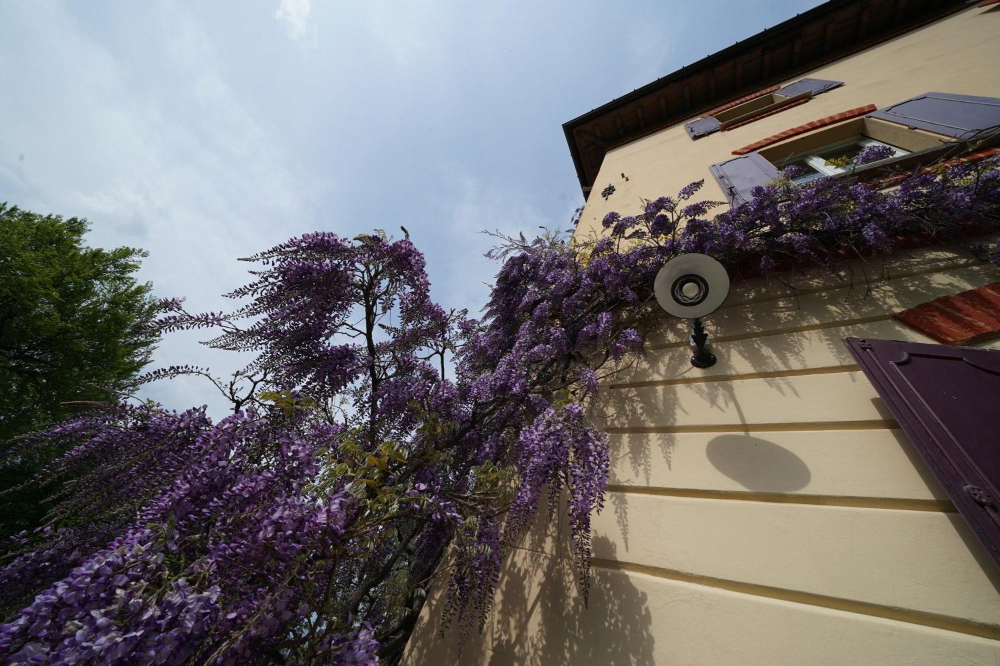 Antica Dimora I Faggi Di San Giorgio *
