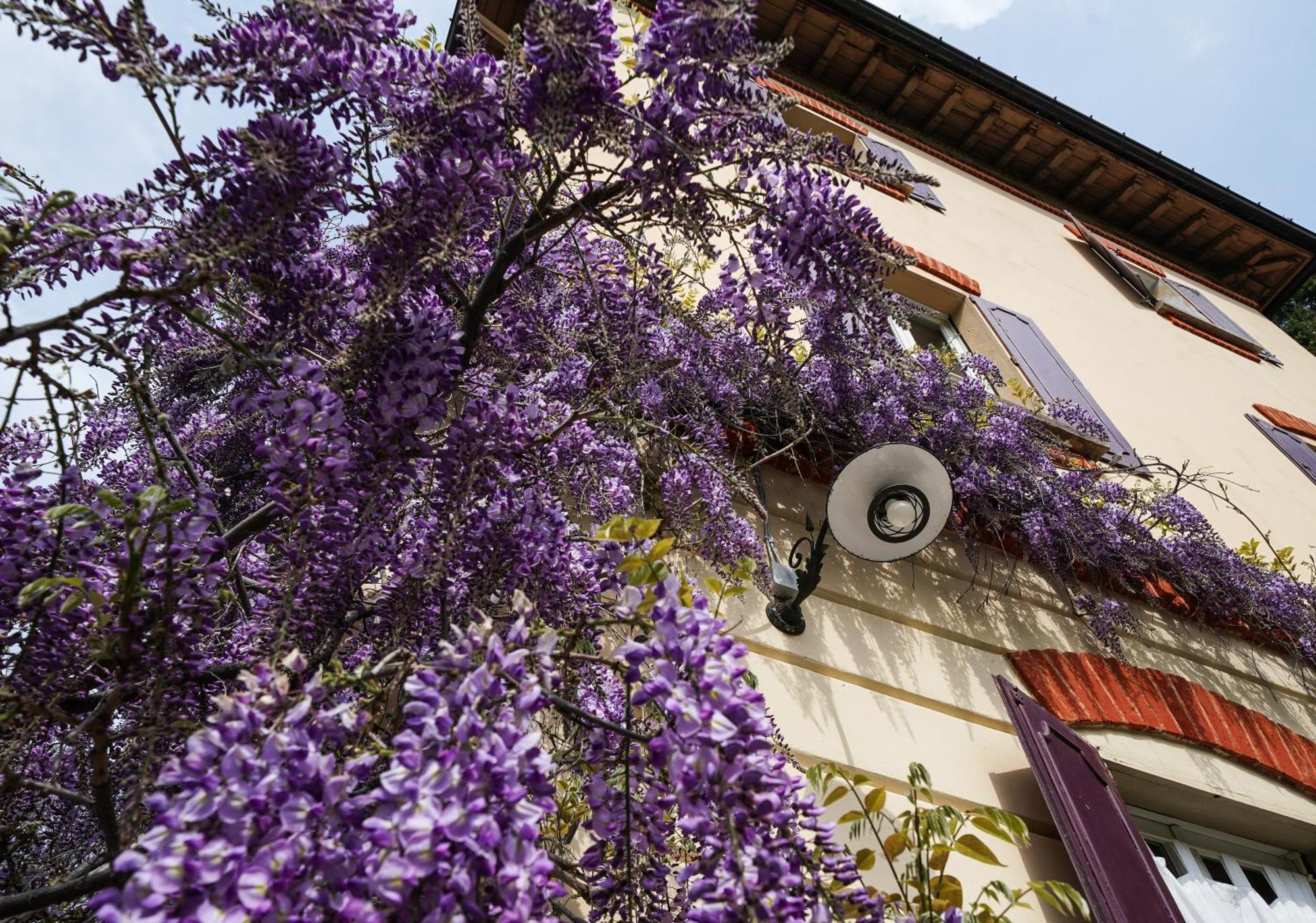 Antica Dimora I Faggi Di San Giorgio * Brunate