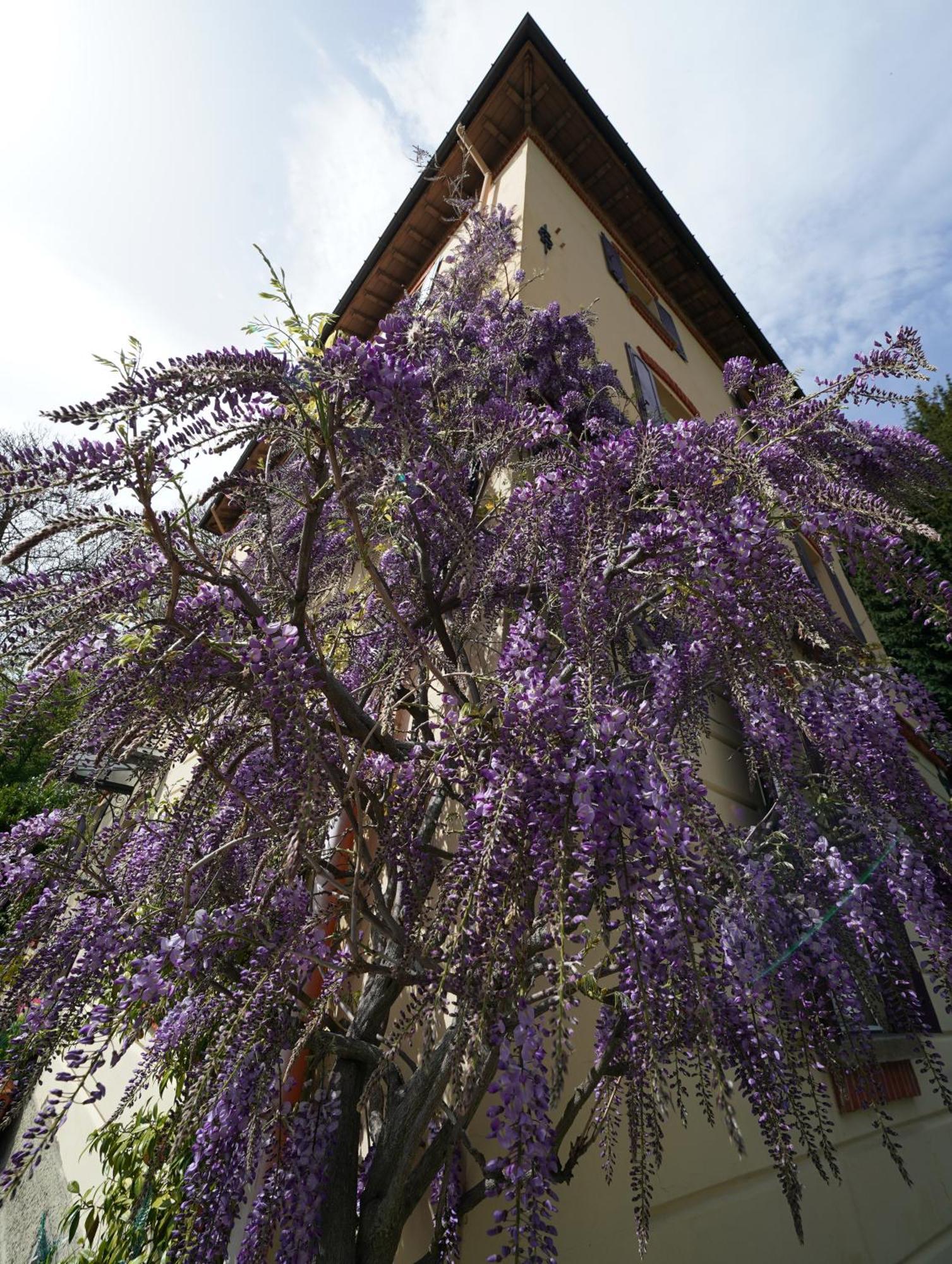 Antica Dimora I Faggi Di San Giorgio Bed & Breakfast