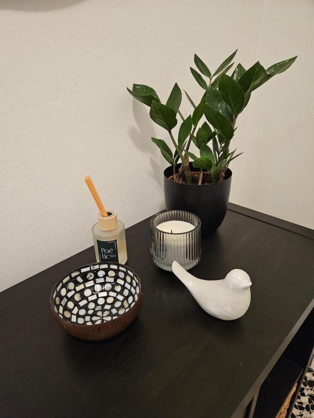 La Mansarda Apartment