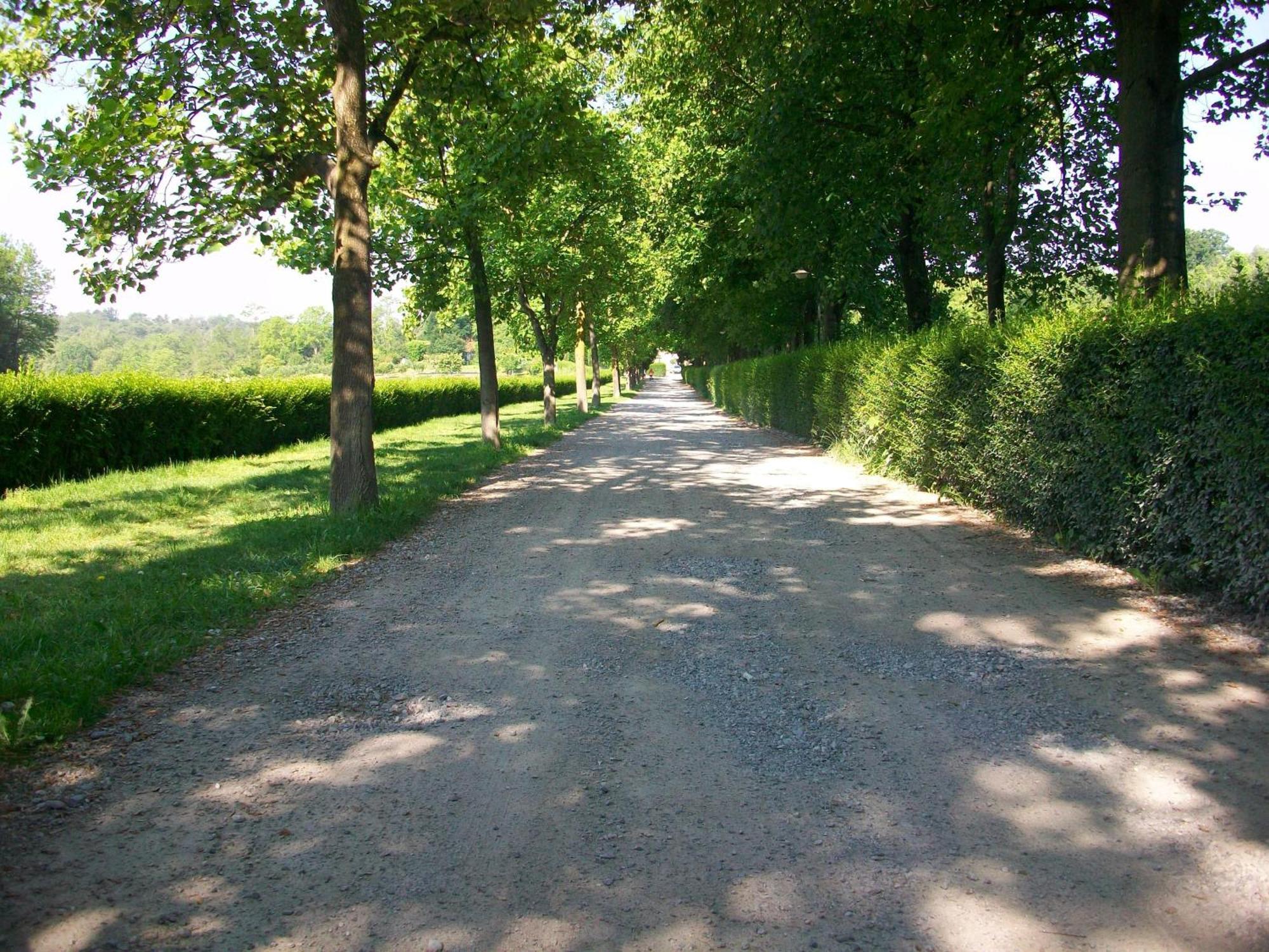 L'albero Maestro Bed & Breakfast Orsenigo