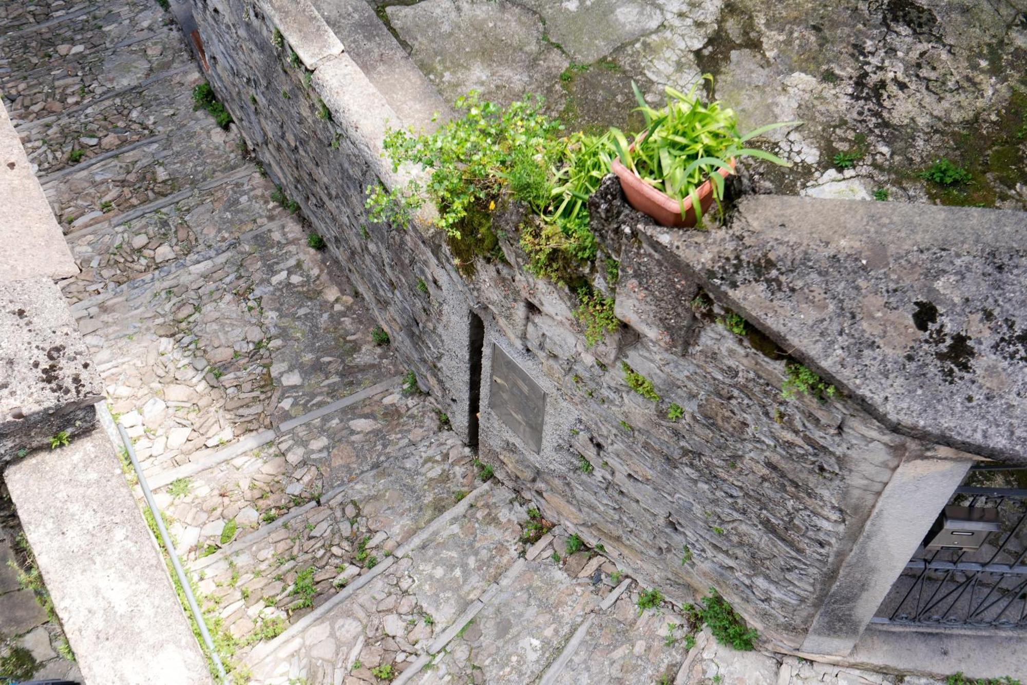 Above George Apartment