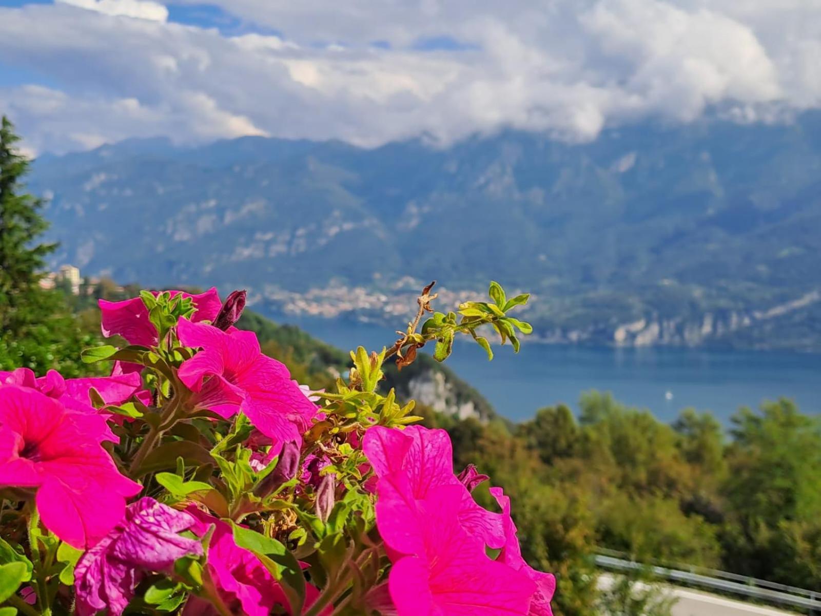 Bed & Breakfast Bed & Breakfast Bellagio