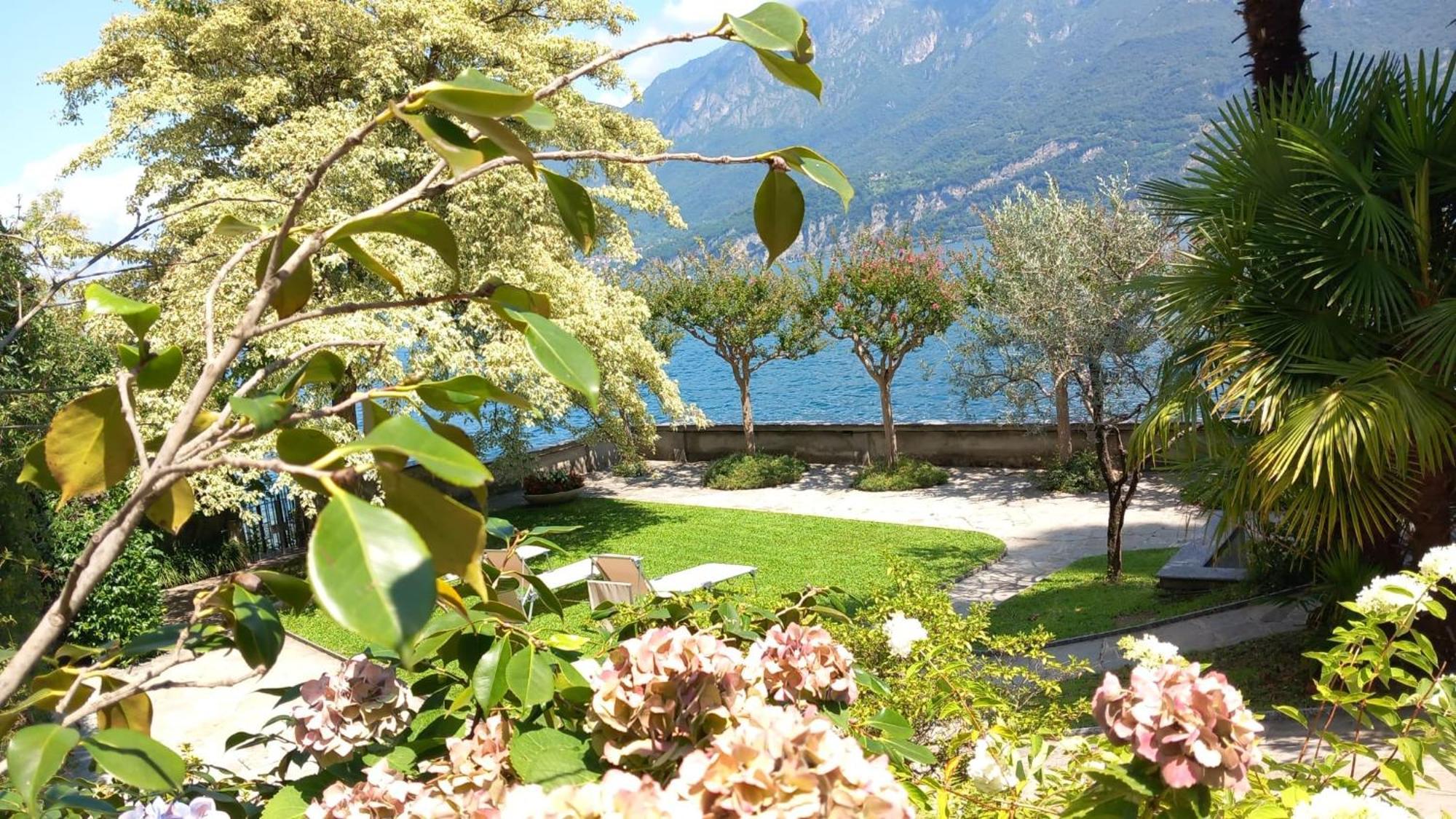 Magnolia Oliveto Lario