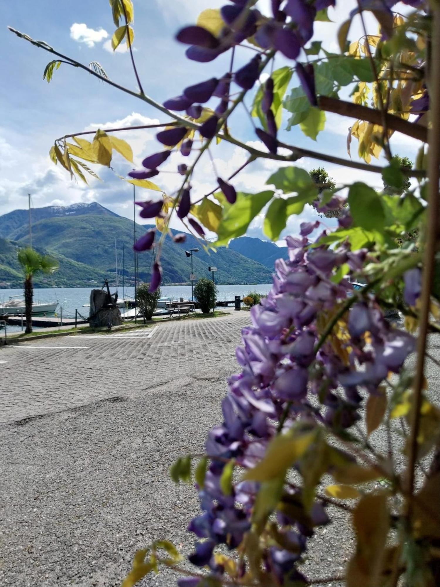 Vichi's Nest * Pianello Del Lario