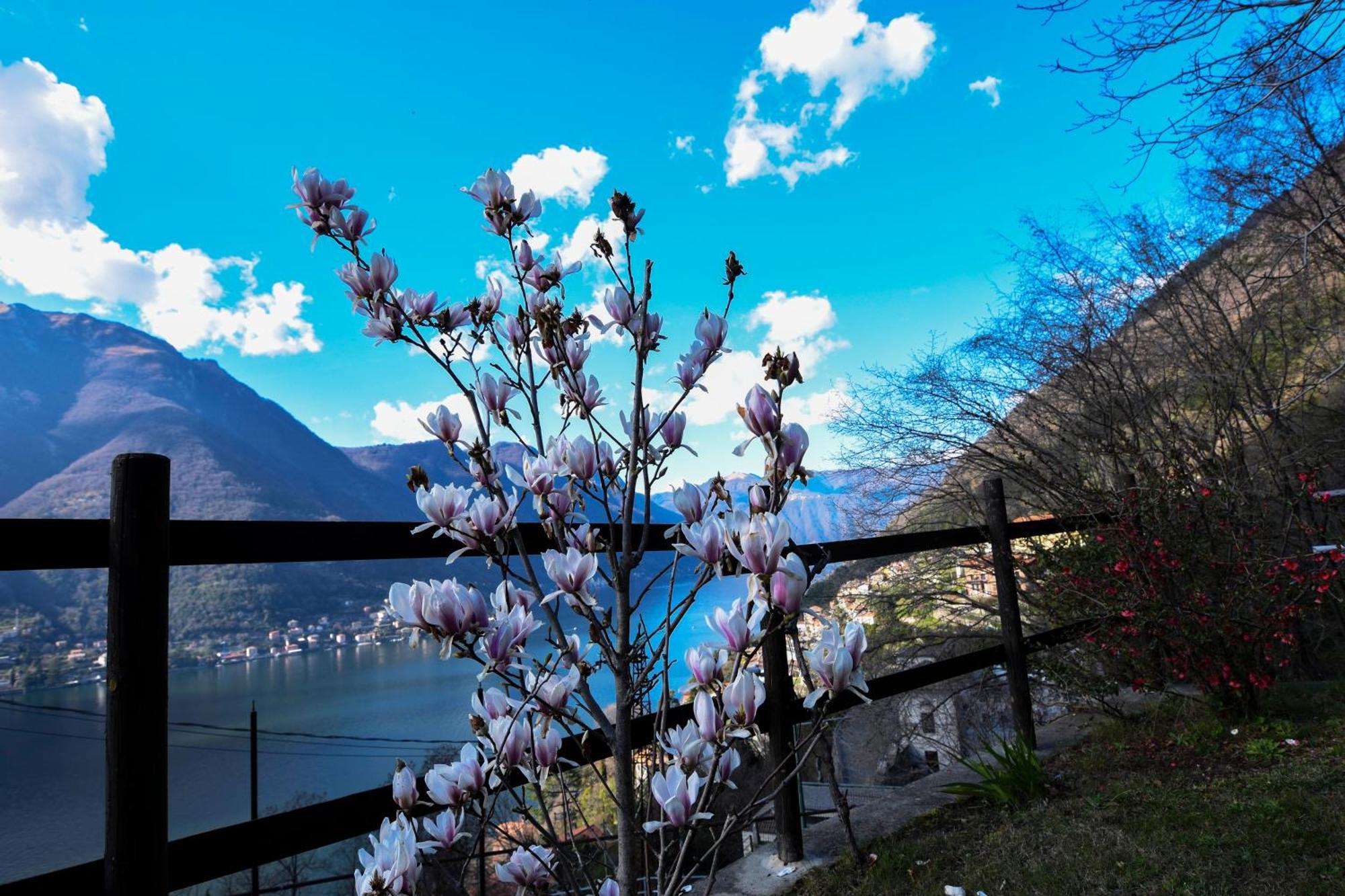 Ca' Del Fico * Pognana Lario