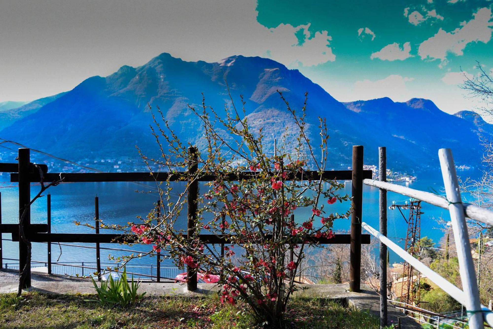 Ca' Del Fico Apartment Pognana Lario