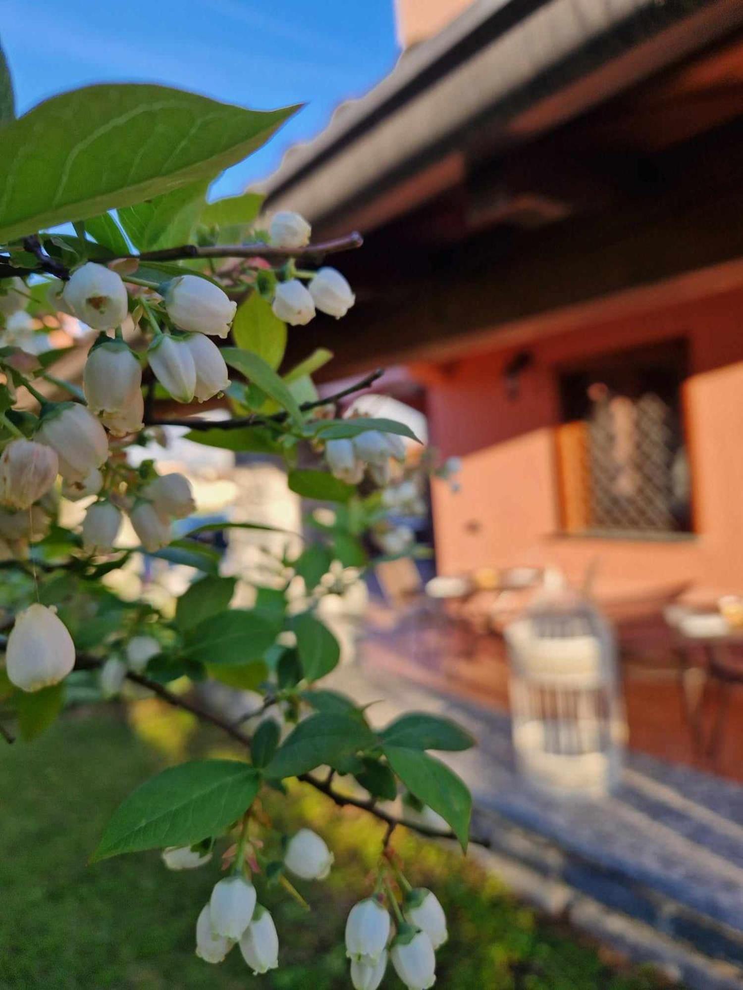 Bed & Breakfast Foresteria Simona *