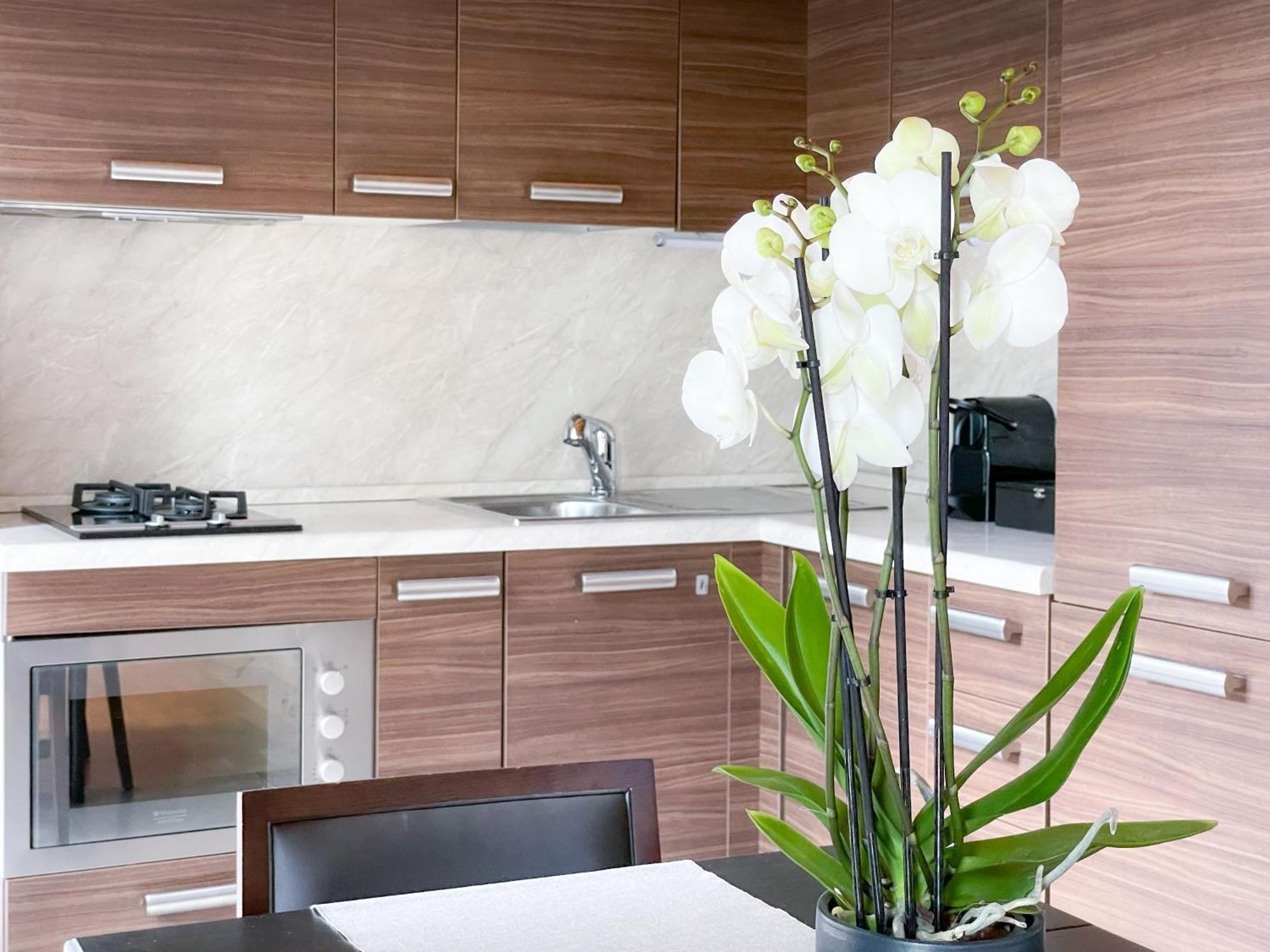 Luminosa - Private Parking, Garden Holiday home