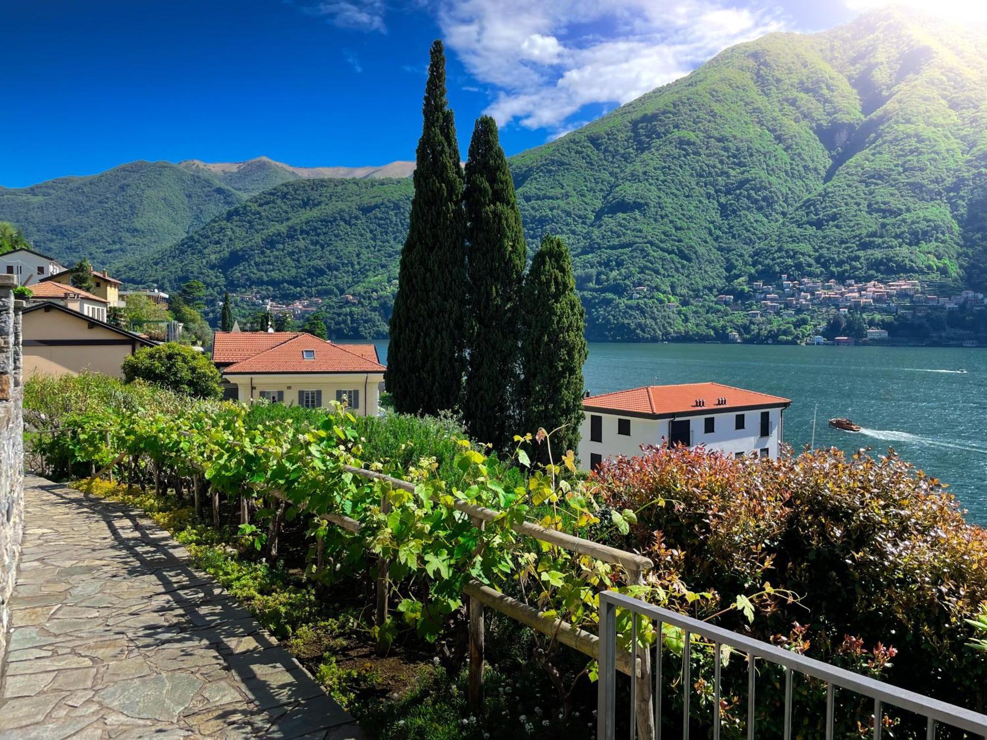 Luminosa - Private Parking, Garden