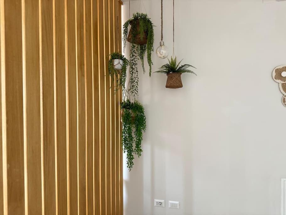 Ama Homes - Garden Lakeview *