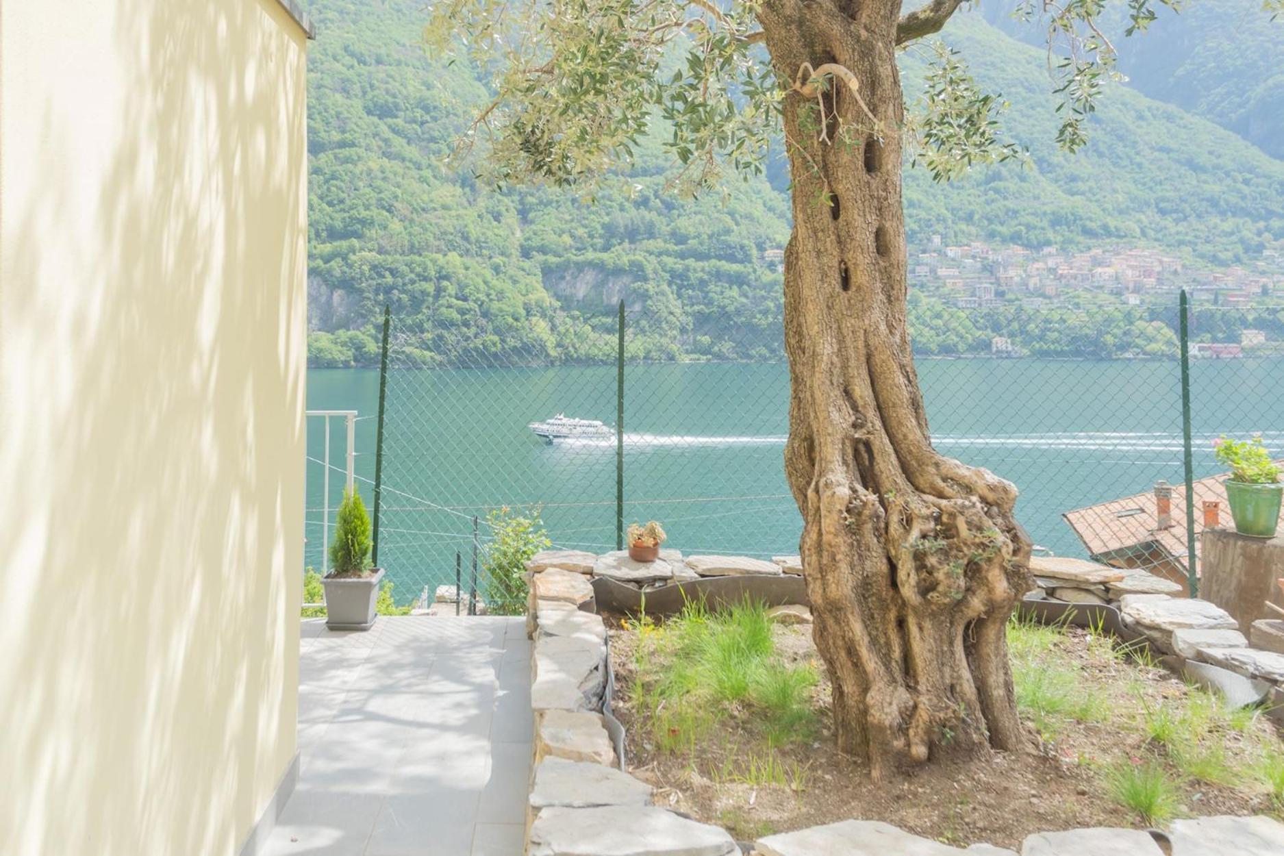 La Quiete With Private Garden By Rent Apartment *