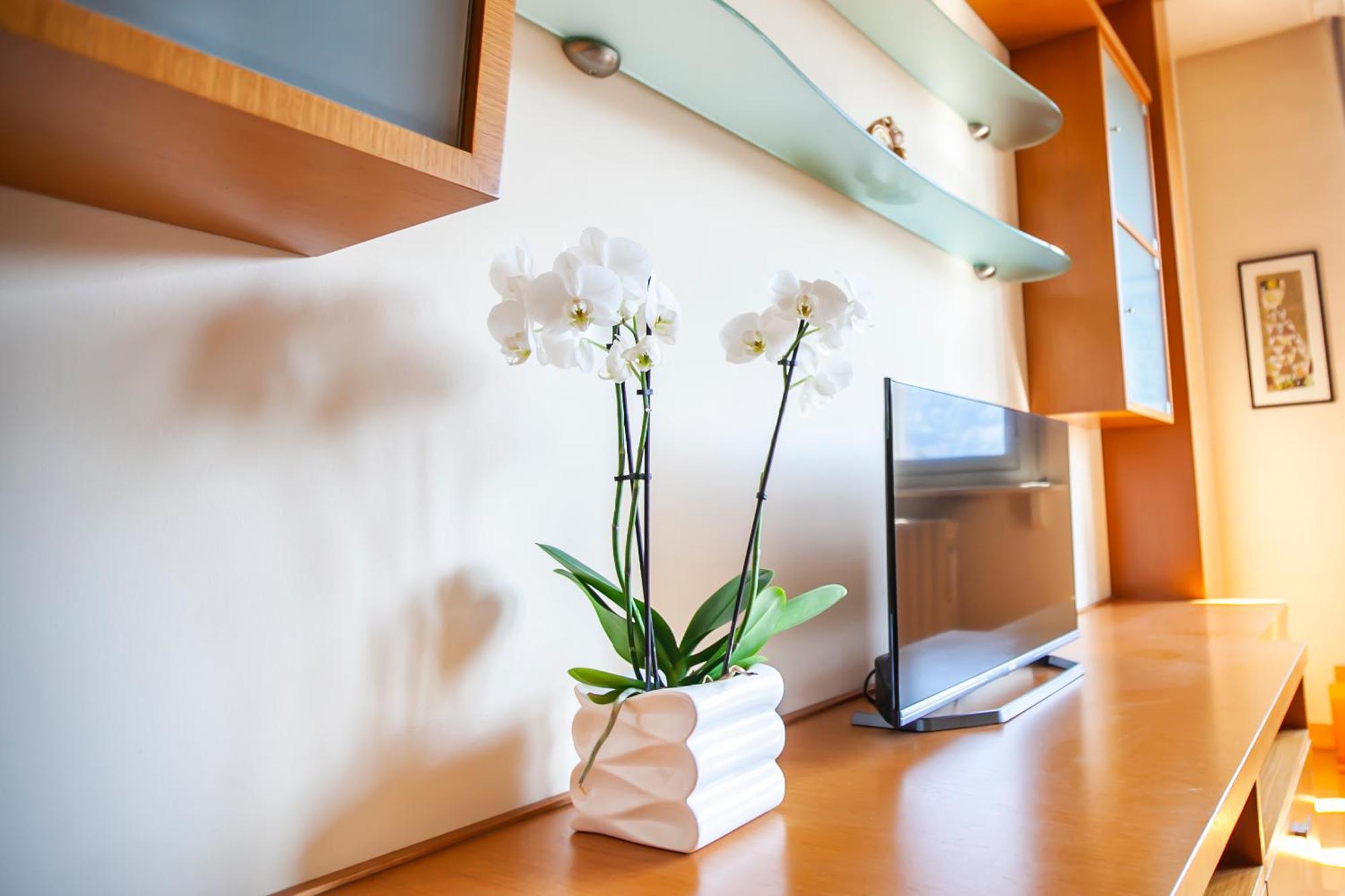Apartment Skyline Como