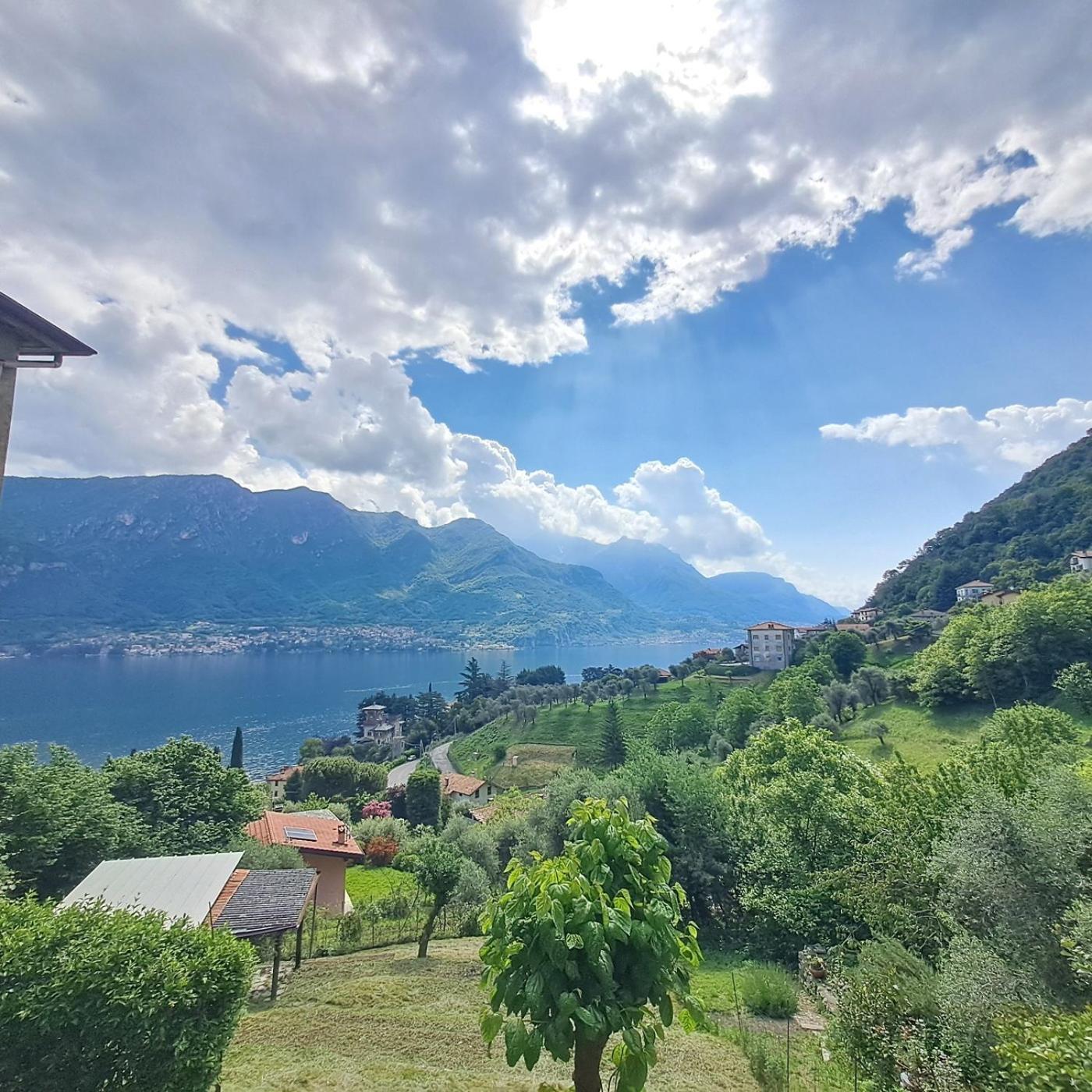 Da Vinci Refuge 1 Limonta