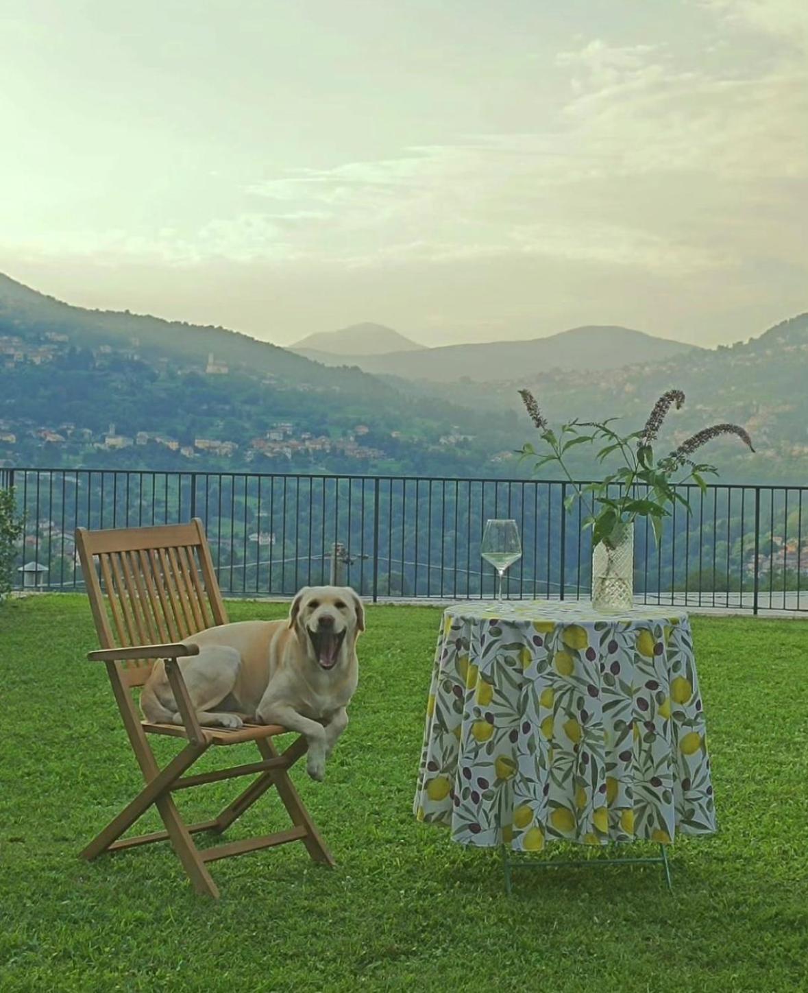 Roof Garden Argegno