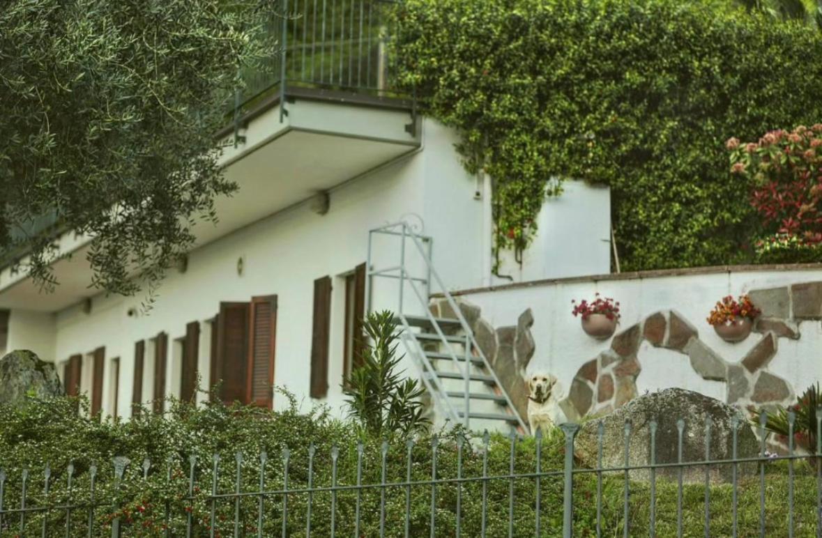 Roof Garden Argegno
