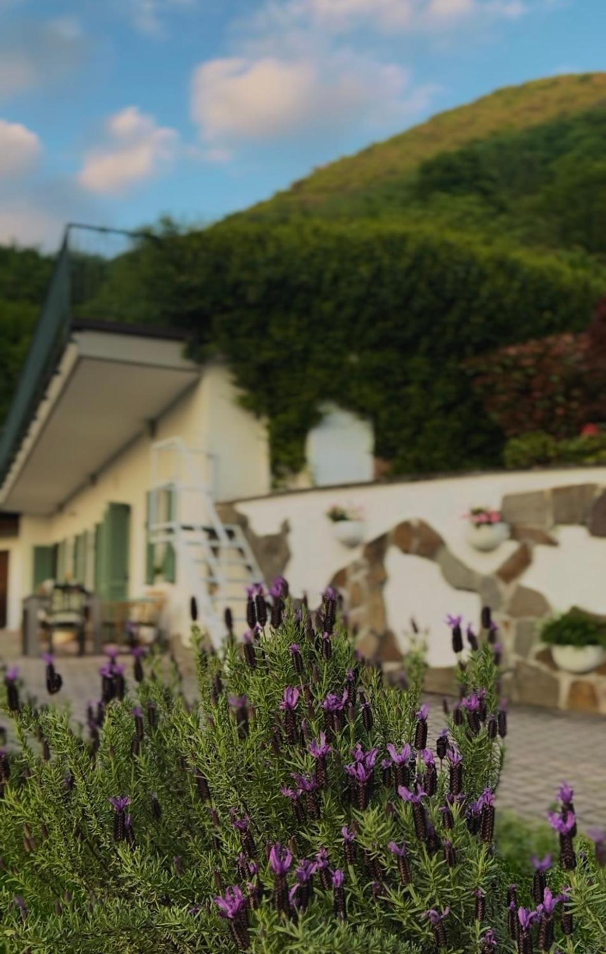 Roof Garden *