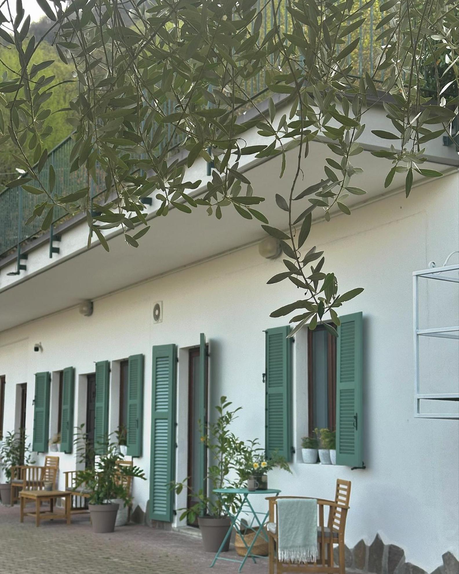 Roof Garden Apartment