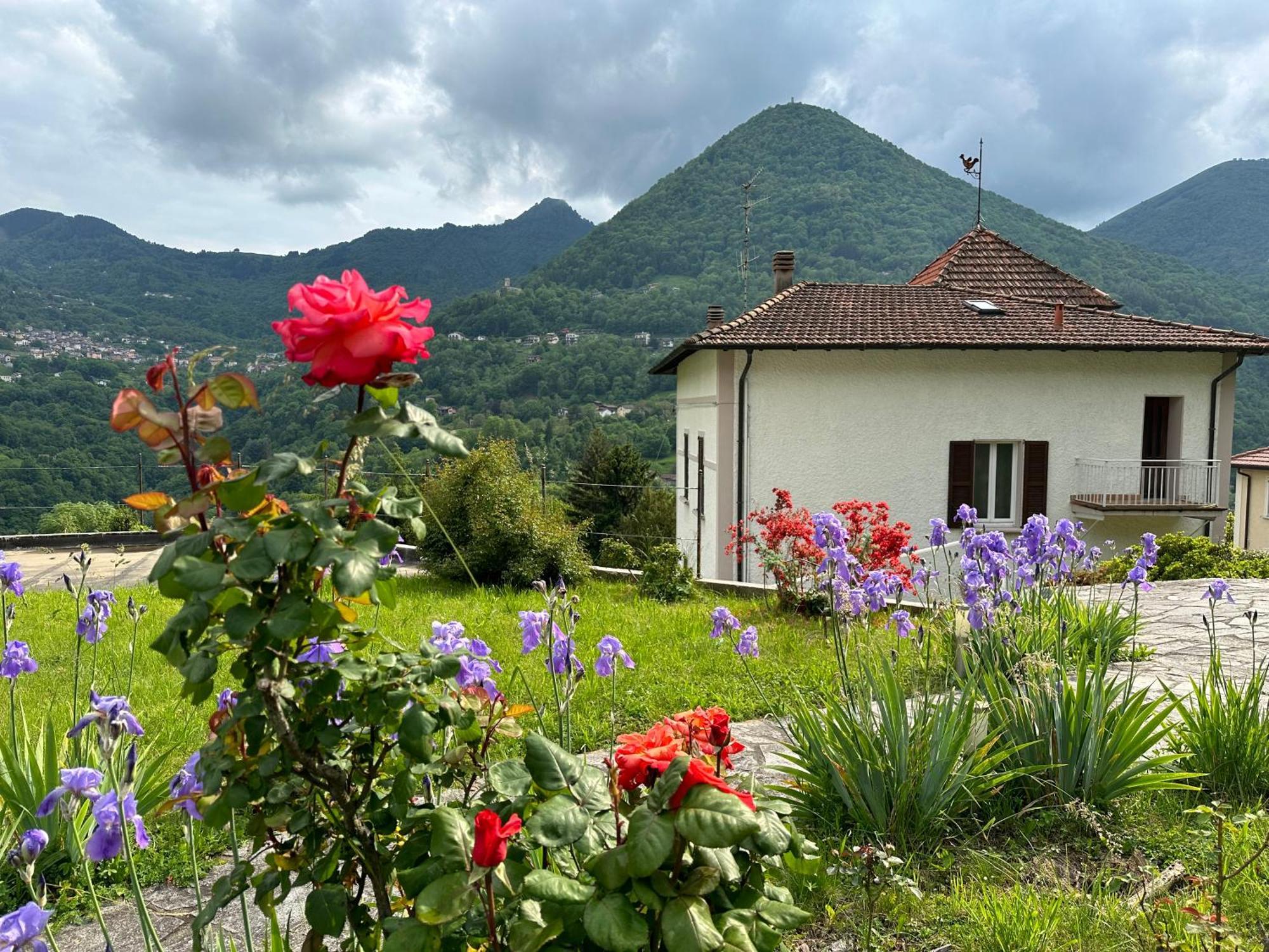 Oleandra With Garden&swimming Pool Apartment Dizzasco