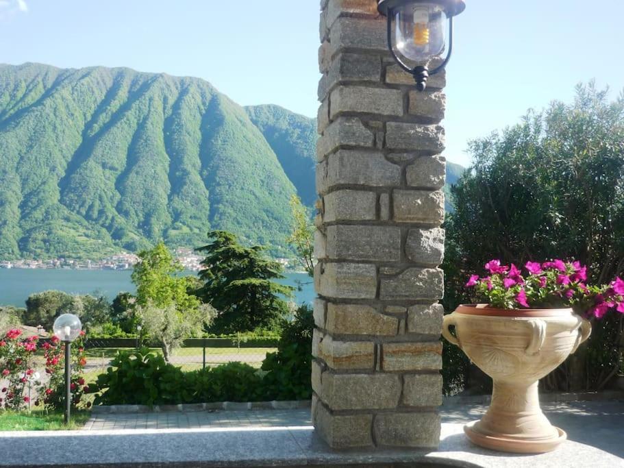 Apartment Casa Serena - Lake View With Garden - Lake Como *