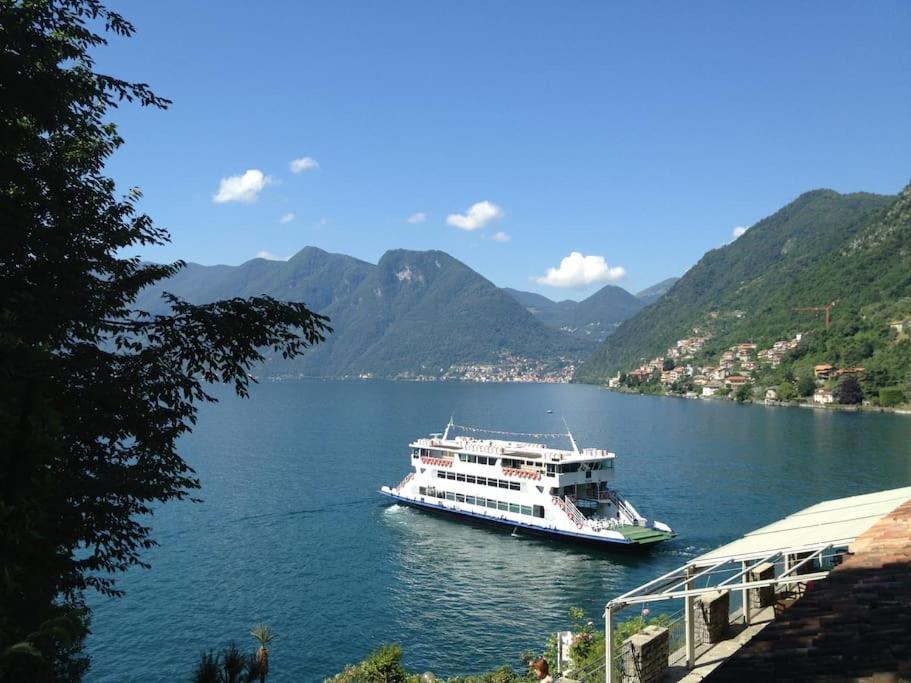 Apartment Casa Serena - Lake View With Garden - Lake Como *