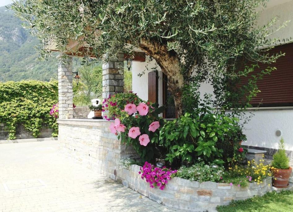 Casa Serena - Lake View With Garden - Lake Como Tremezzo