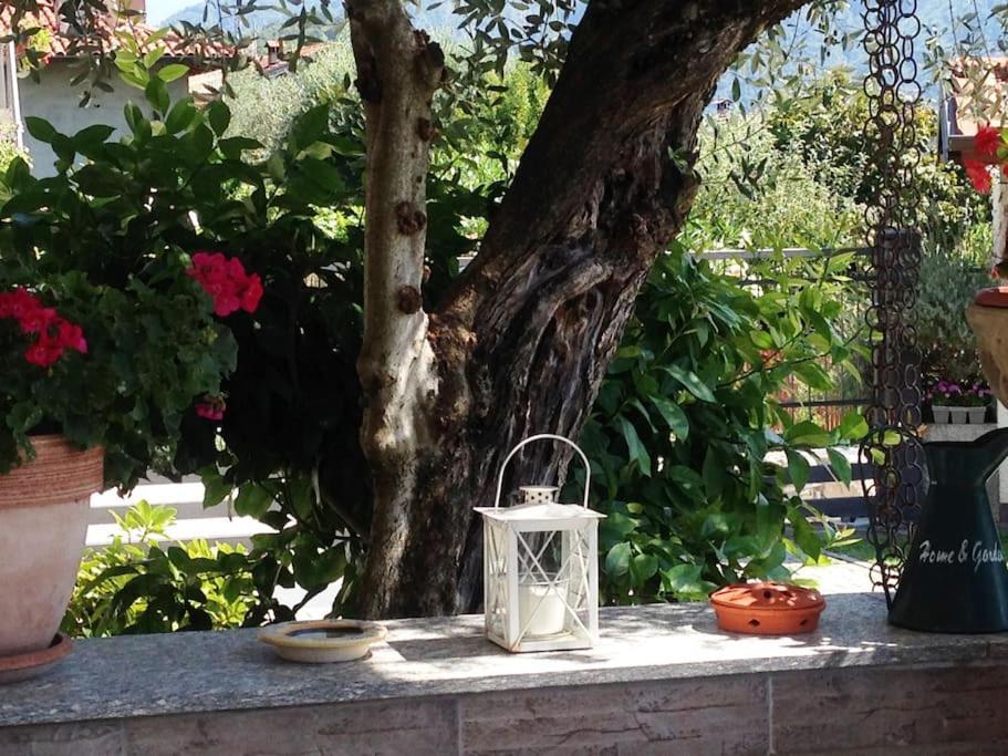 Apartment Casa Serena - Lake View With Garden - Lake Como Tremezzo