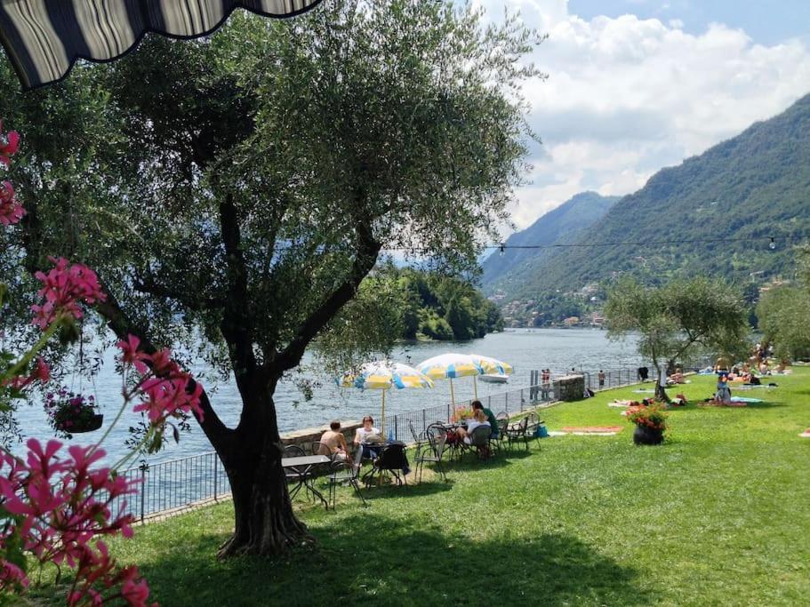 Casa Serena - Lake View With Garden - Lake Como