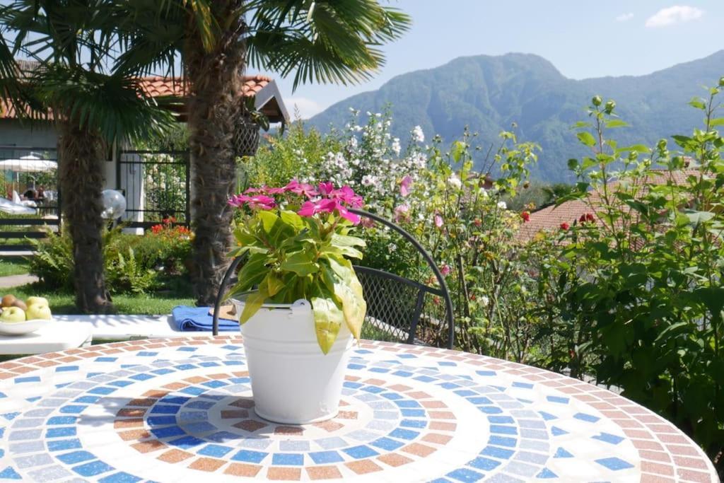 Apartment Casa Serena - Lake View With Garden - Lake Como *