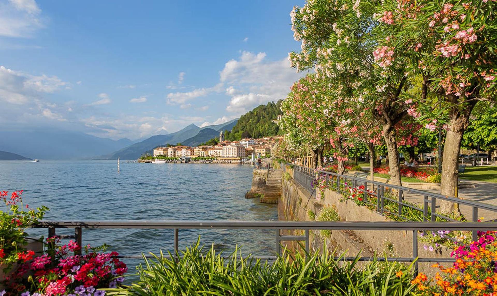 Beautiful Oasi *