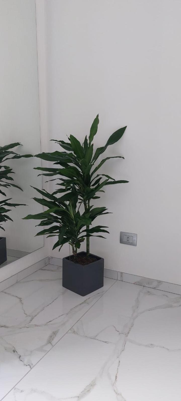 Apartment Marble Como