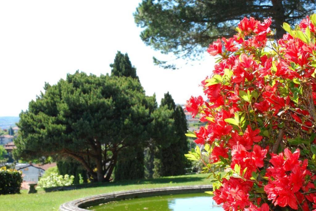 Rossini Villa Tavernerio