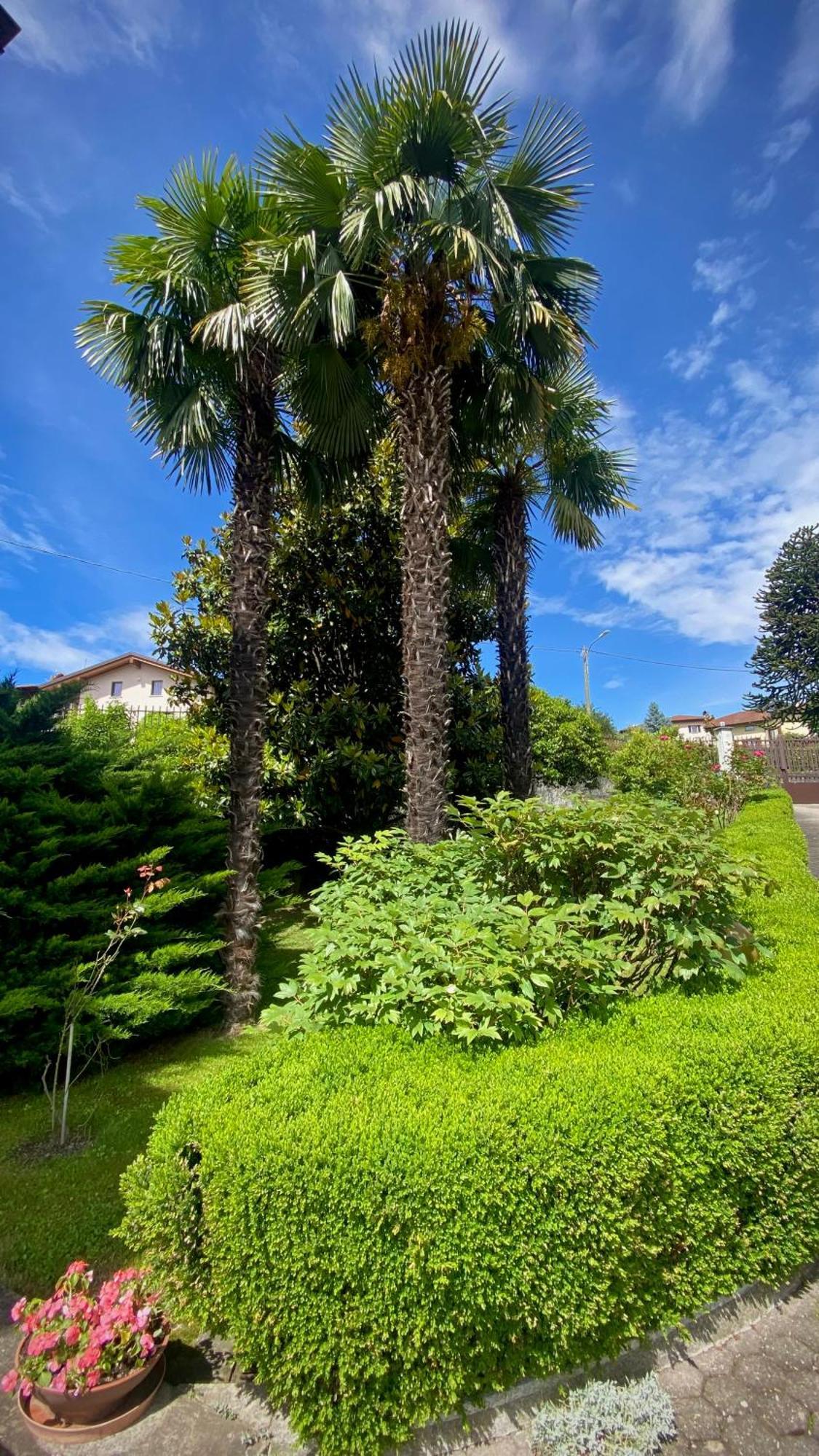 Casa Blue Apartment Gravedona