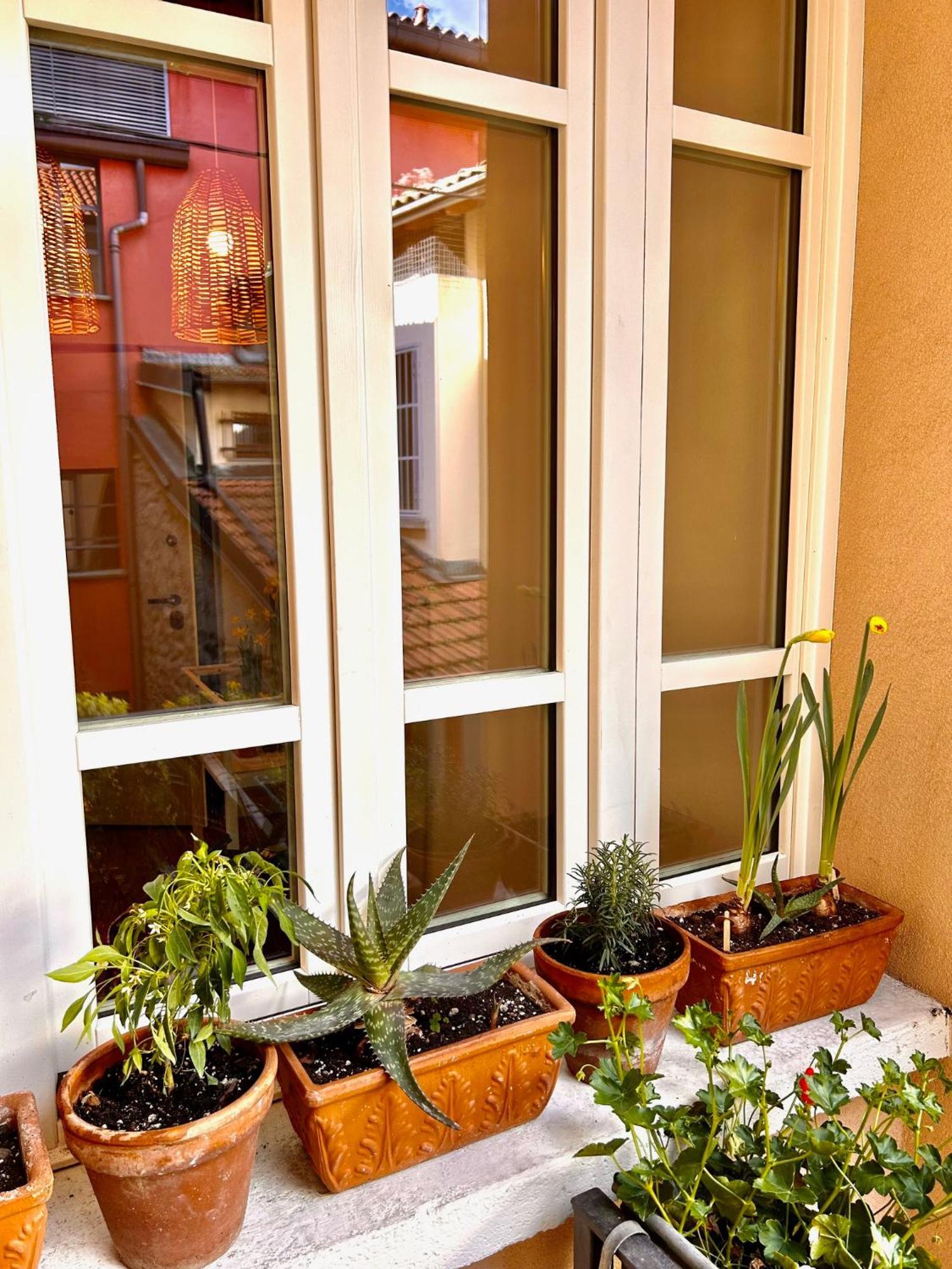 Viacoloniola37 Ferienhaus Como