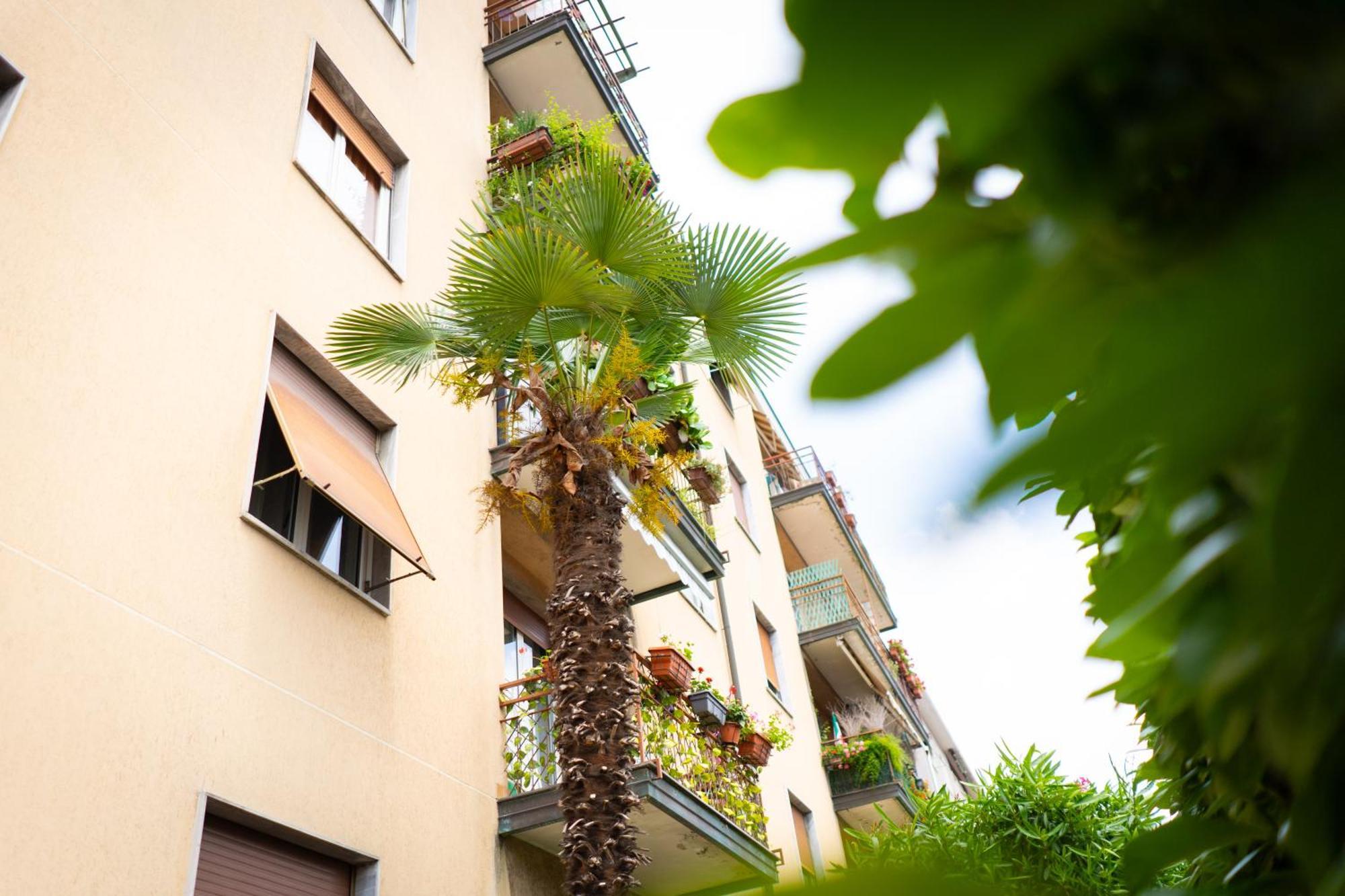 Apartment Lake Turati