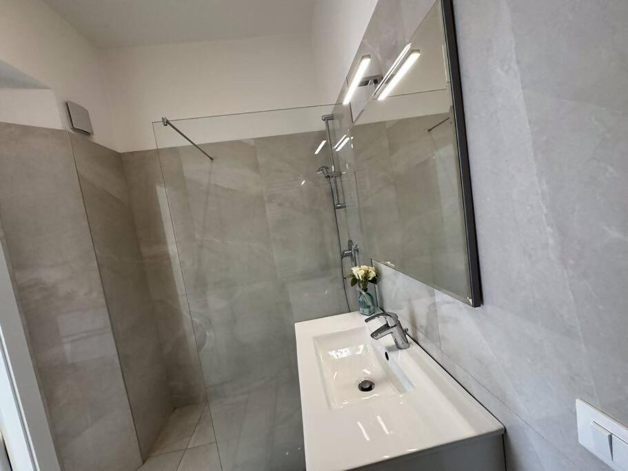Luxury Sole Apartment