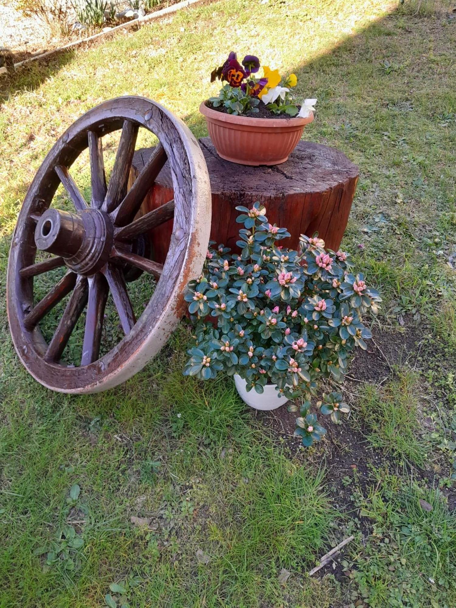 Holiday home Franca *