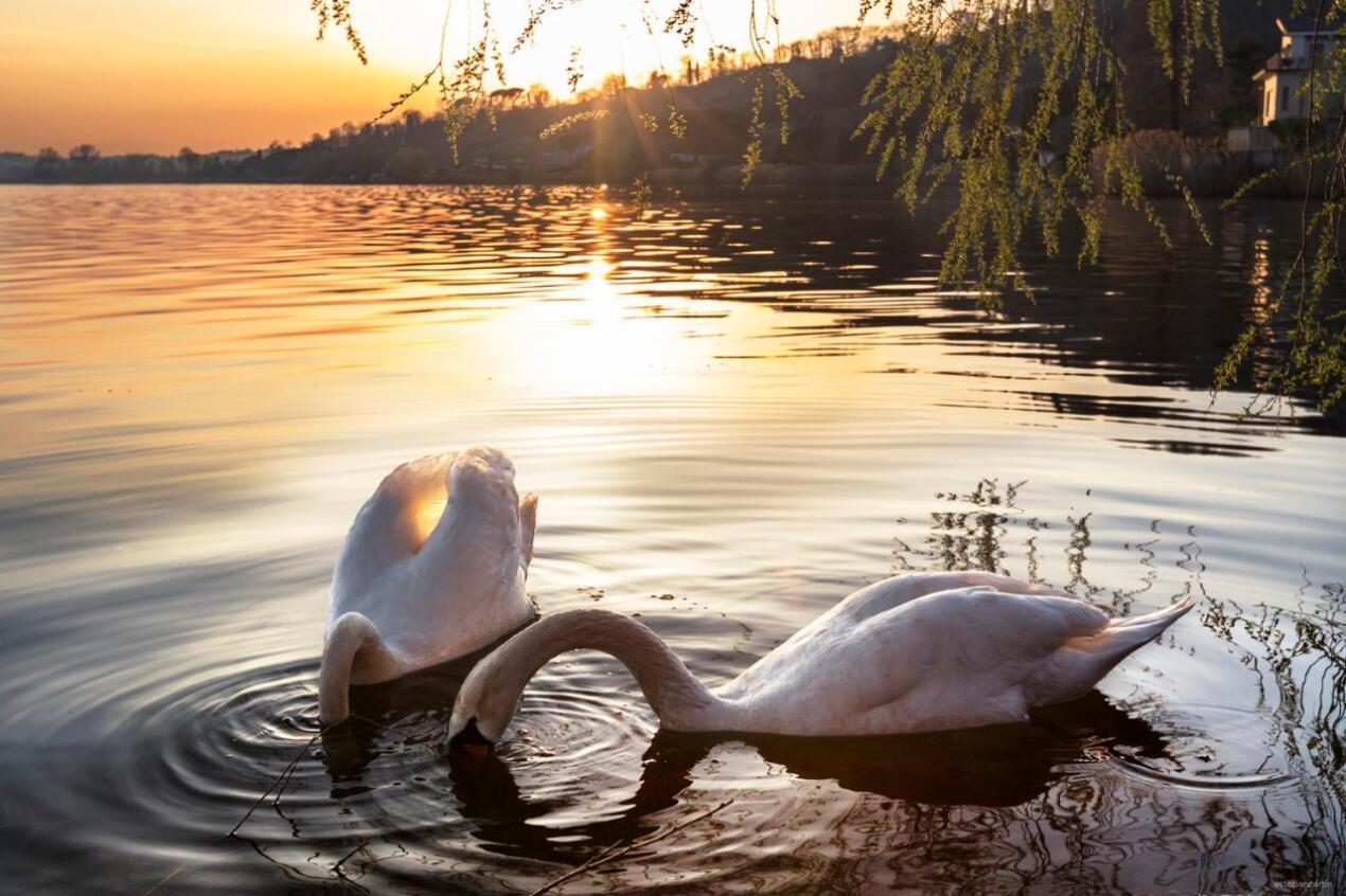 Wellness Da Sogno Sul * Pusiano